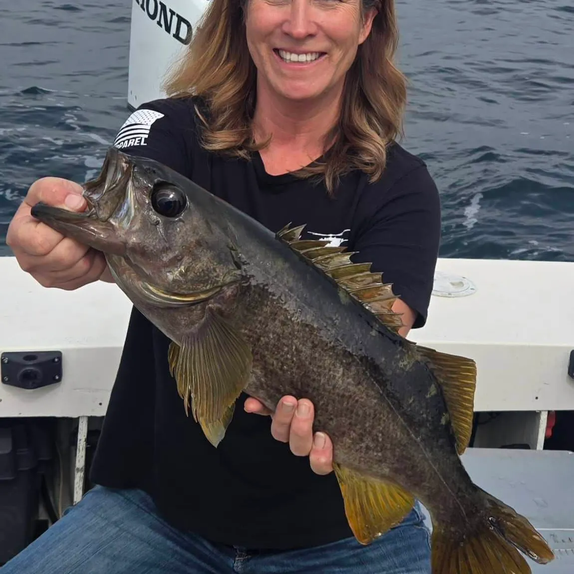 The most recent Yellowtail rockfish catches on Fishbrain