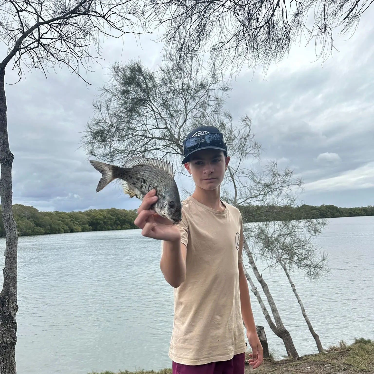 Surf bream caught on Fishbrain