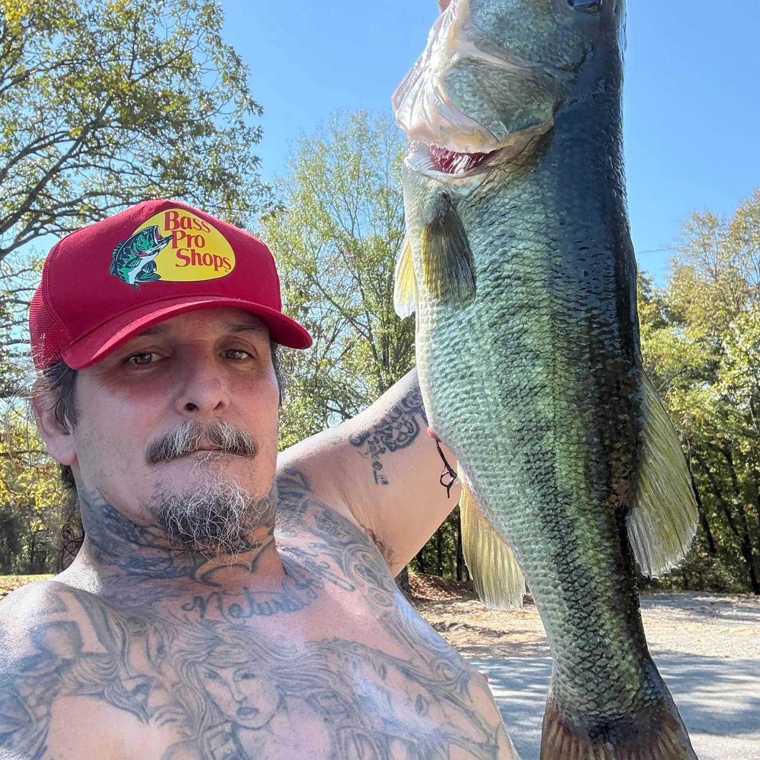 Largemouth bass caught on Fishbrain