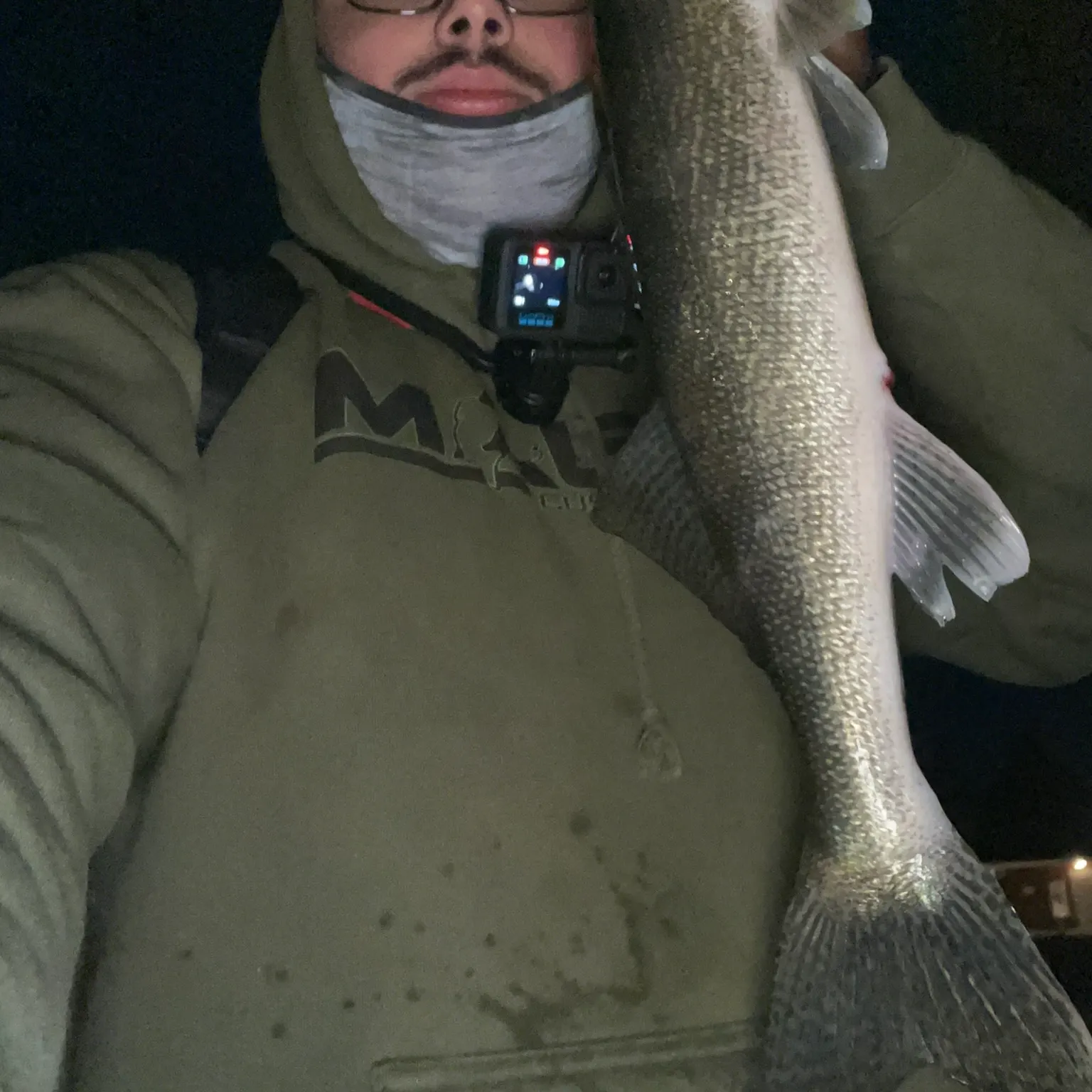The most recent Walleye catches on Fishbrain