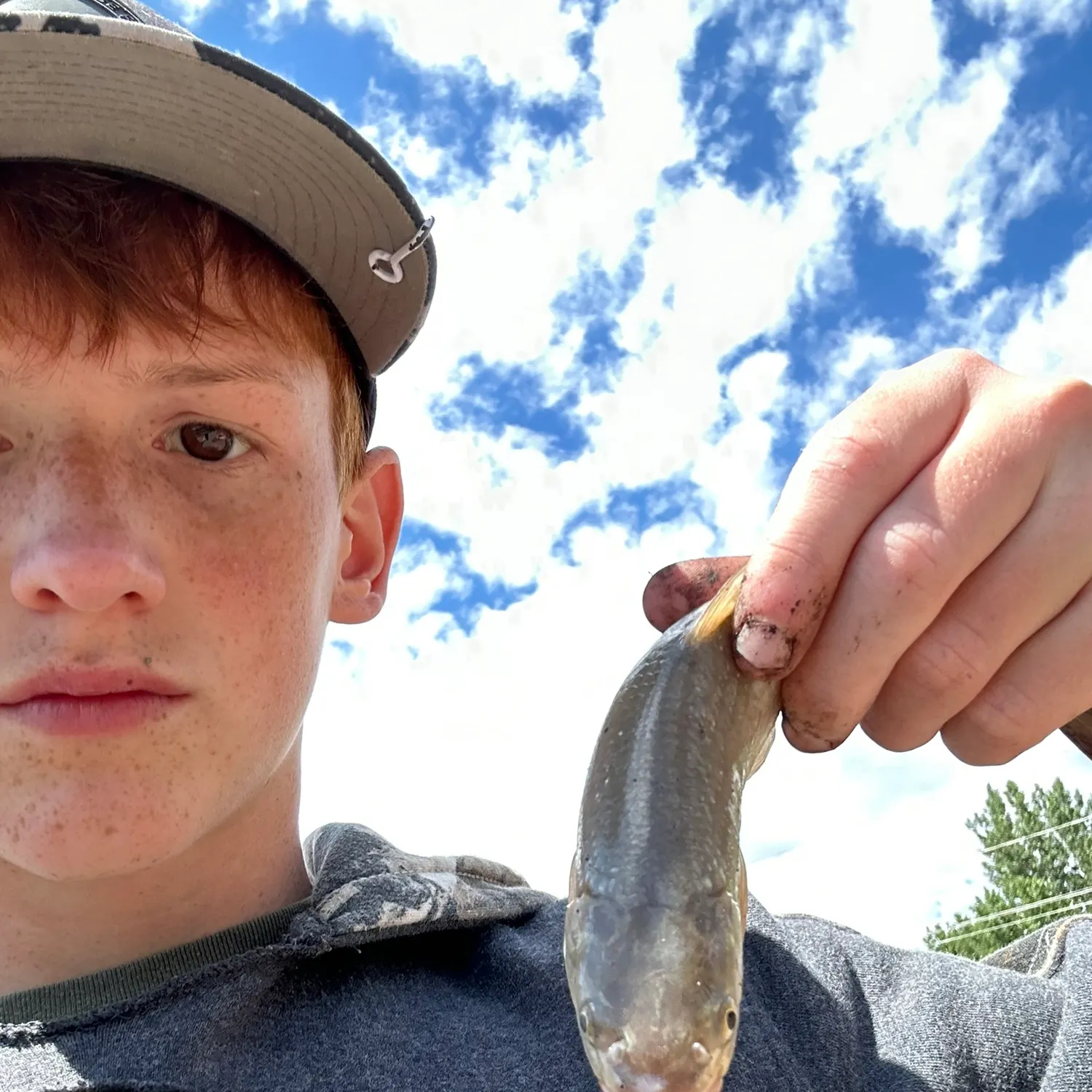 The most recent Silver chub catches on Fishbrain