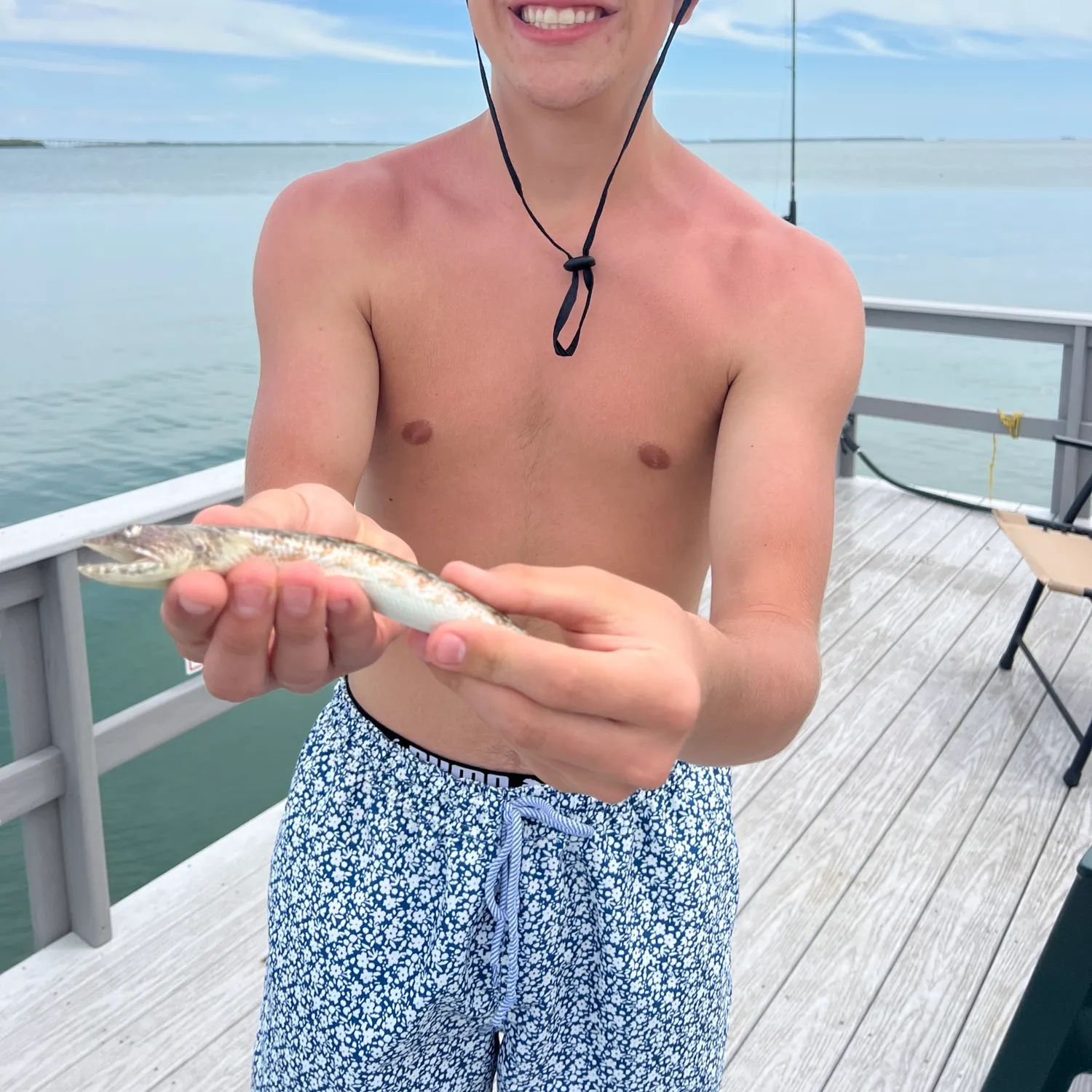 The most recent Inshore lizardfish catches on Fishbrain