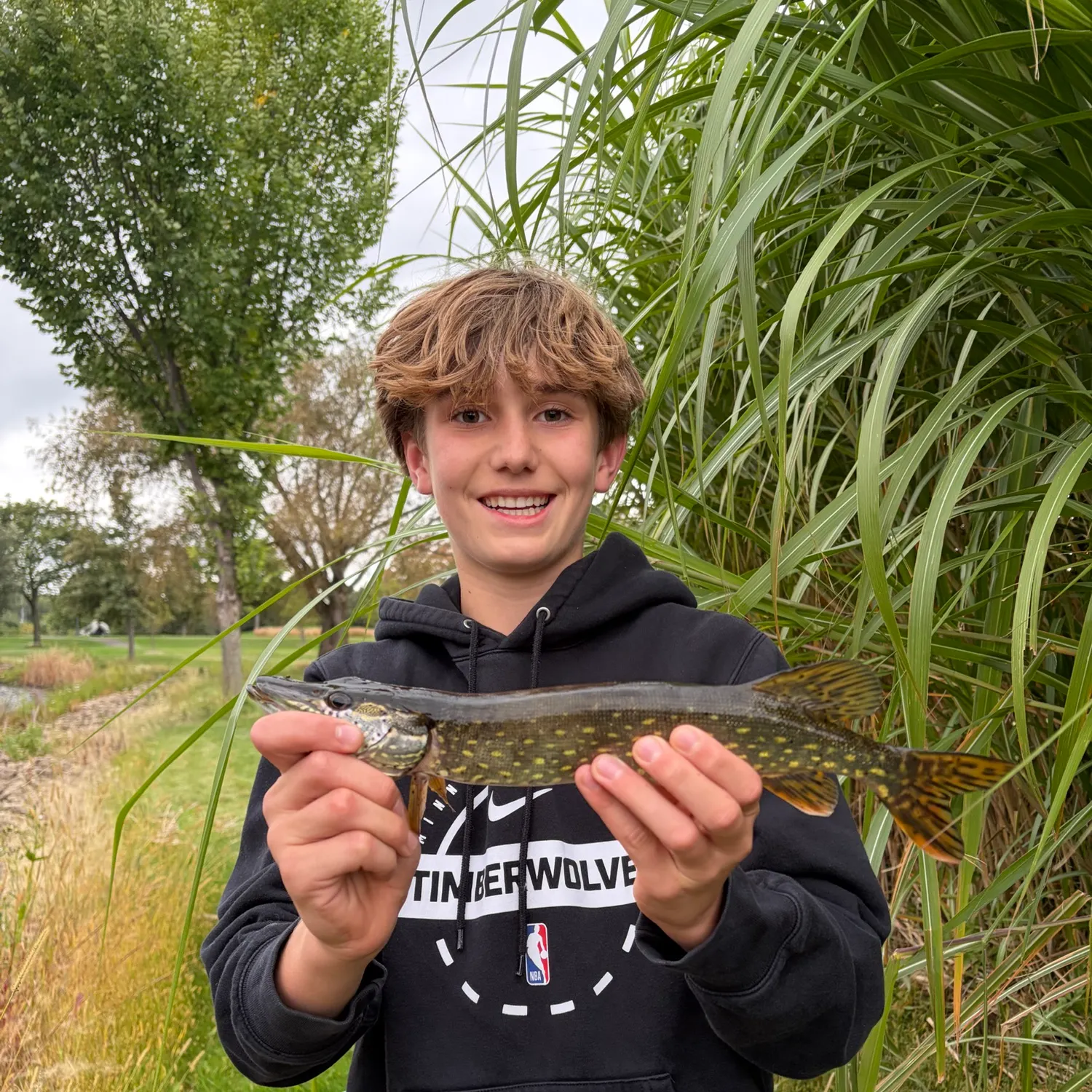 Northern pike caught on Fishbrain