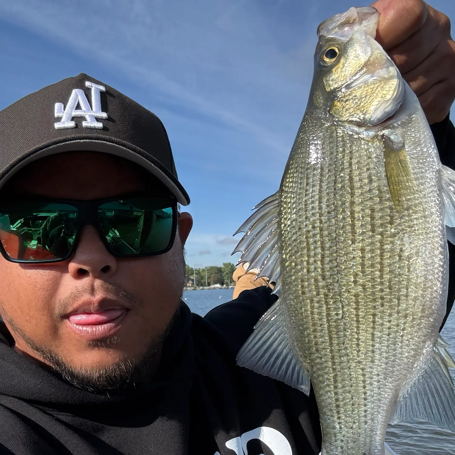 White bass caught on Fishbrain