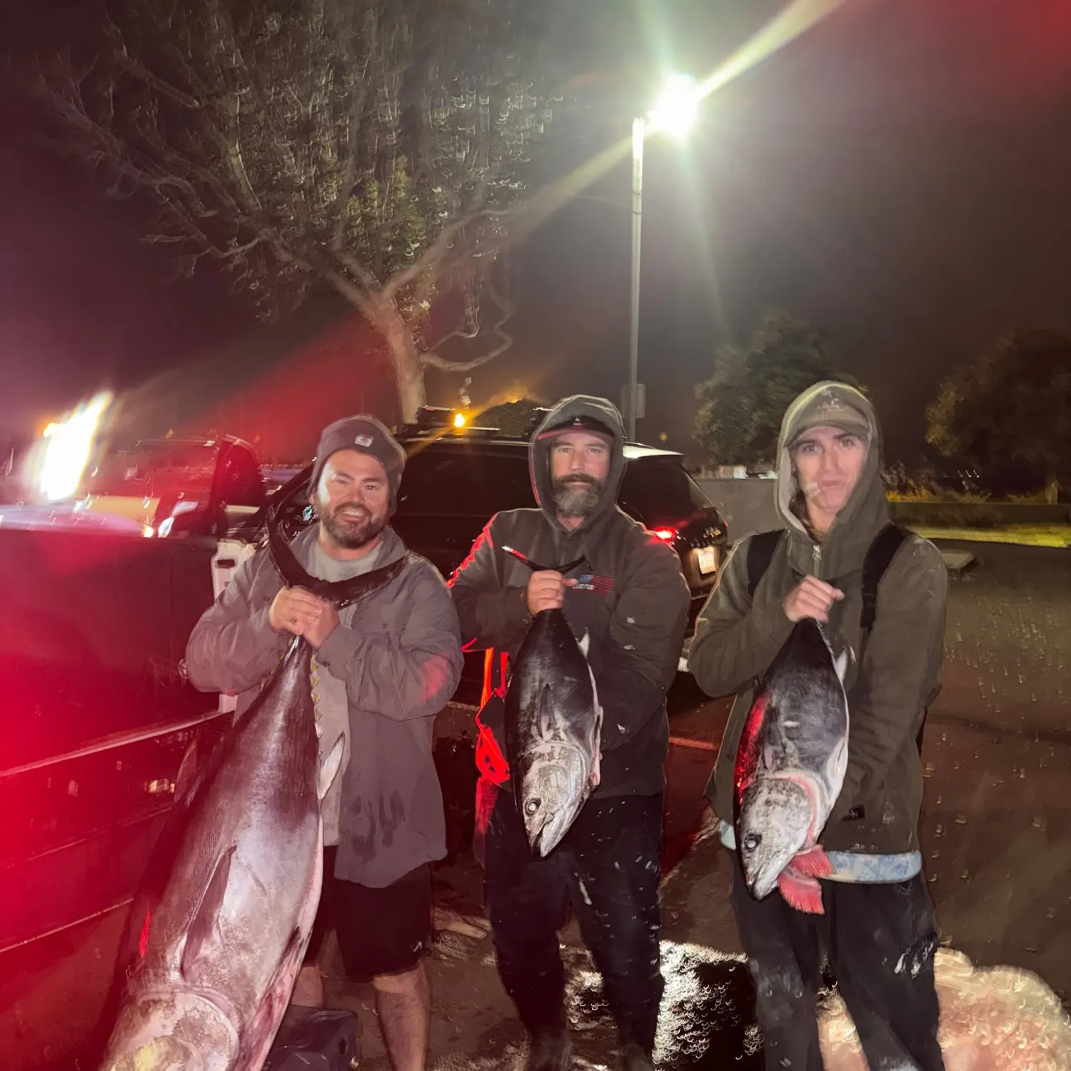 Pacific bluefin tuna caught on Fishbrain