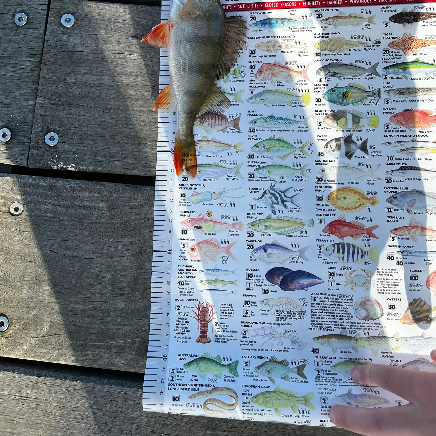 catch