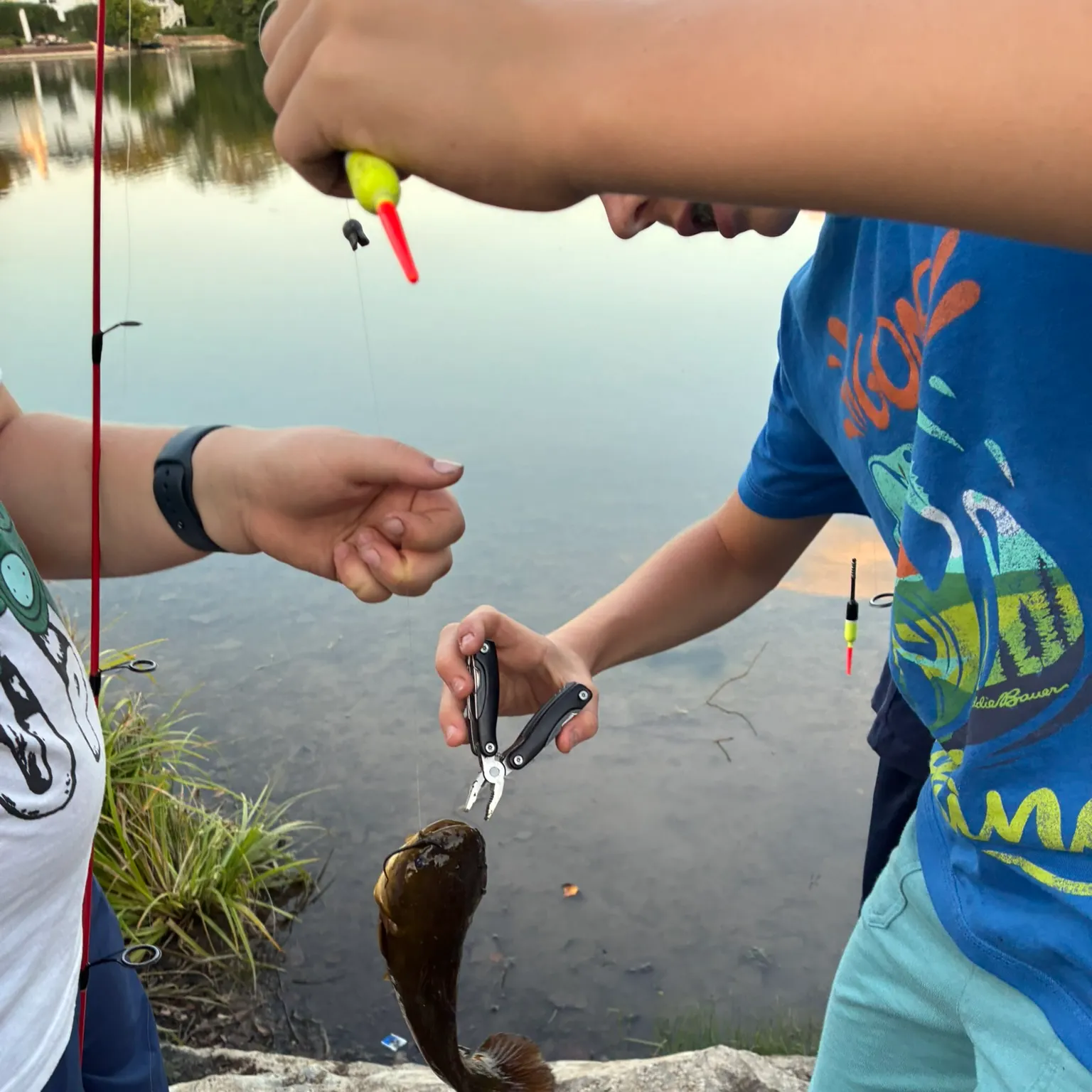 recently logged catches