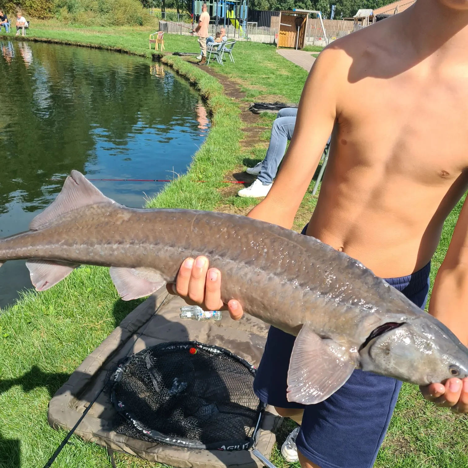 European perch caught on Fishbrain