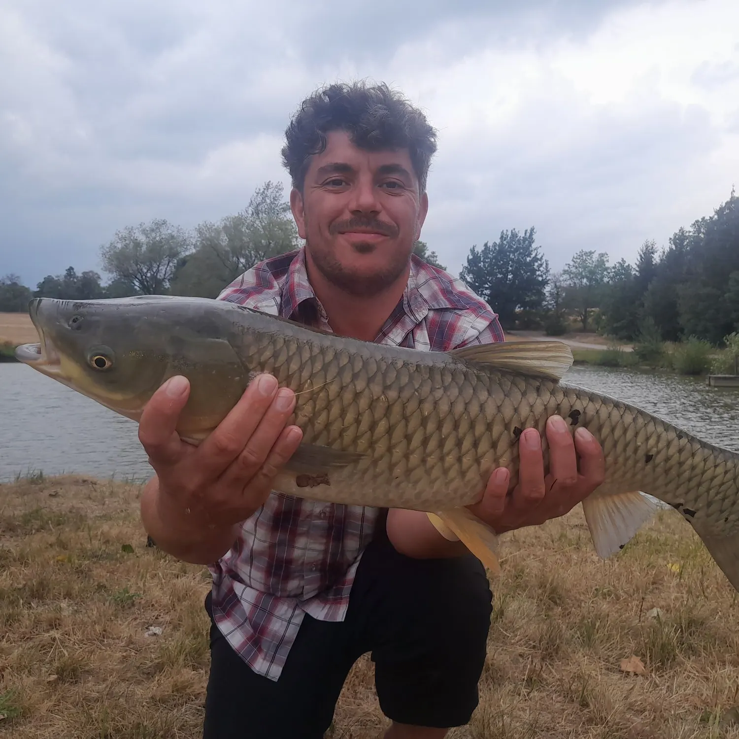 Grass carp caught on Fishbrain