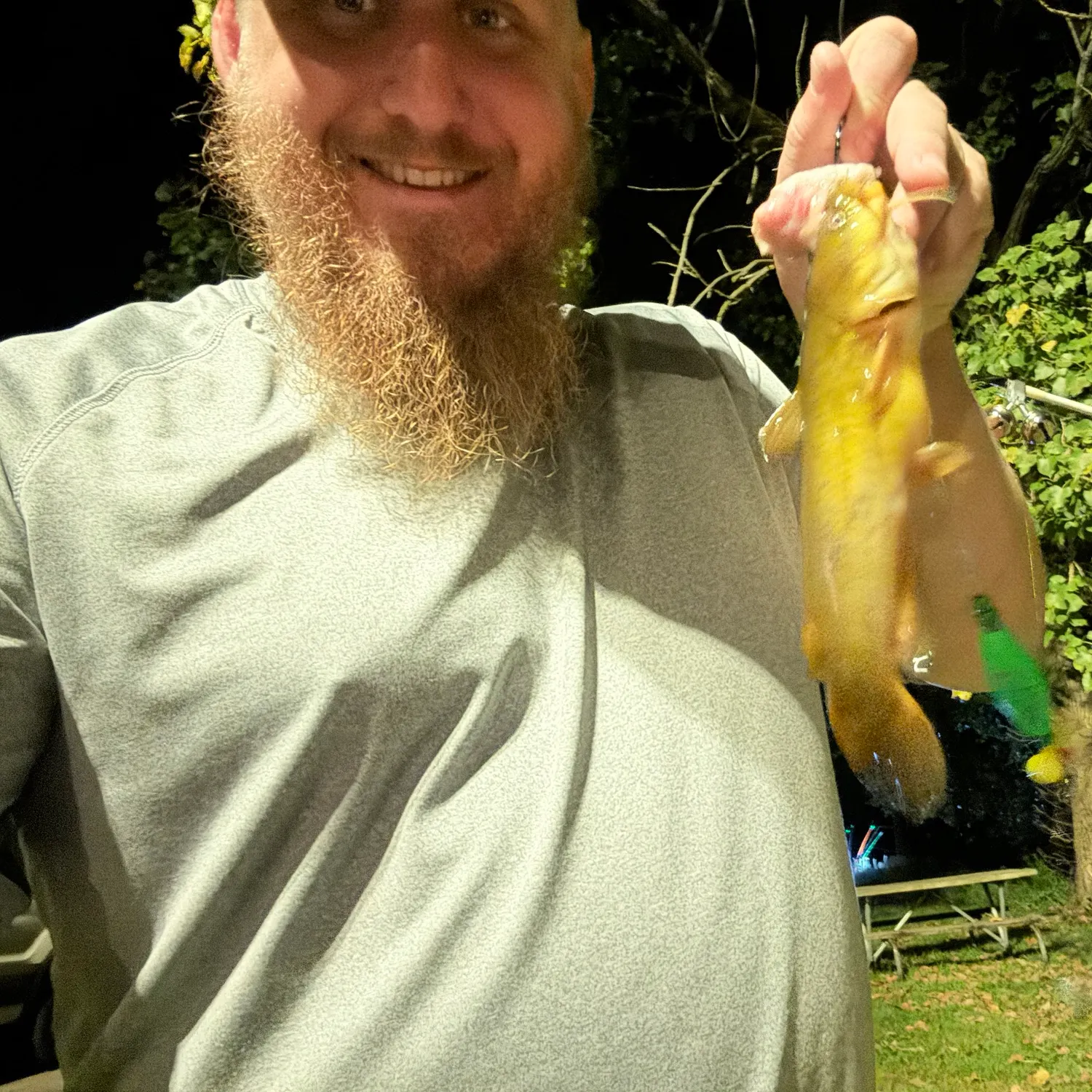 Yellow bullhead caught on Fishbrain