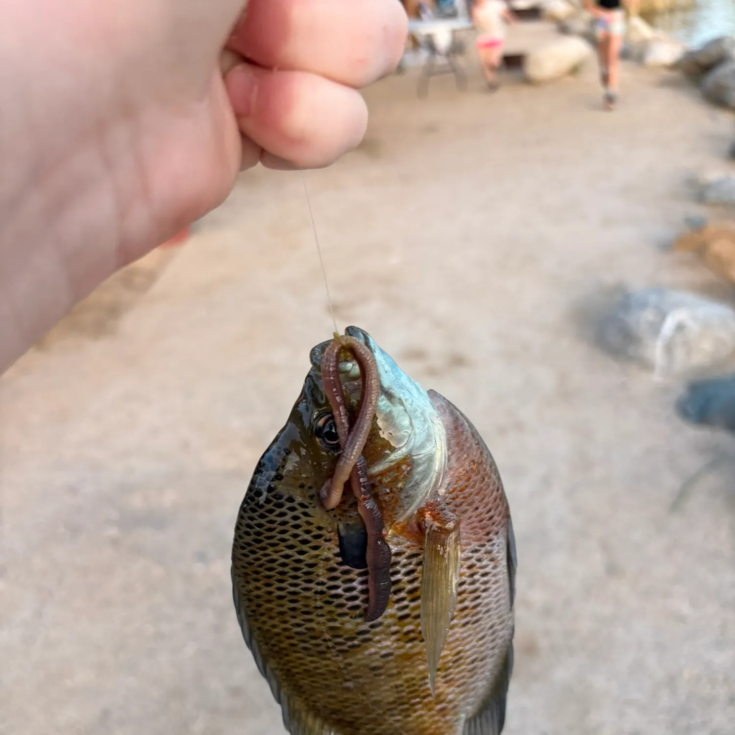 catch