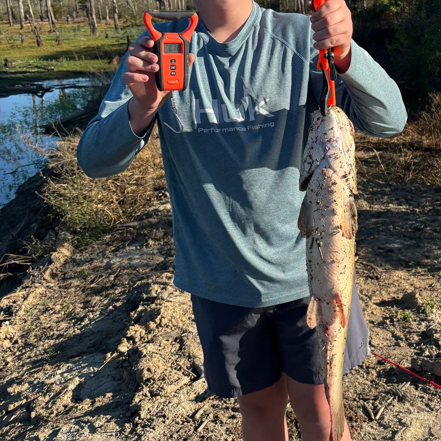 The most recent Ruddy bowfin catches on Fishbrain