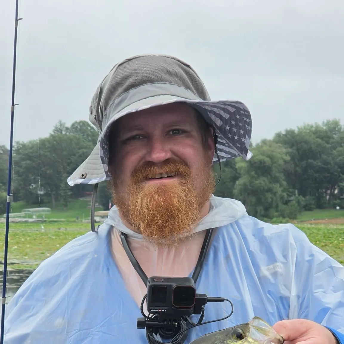 Black crappie caught on Fishbrain
