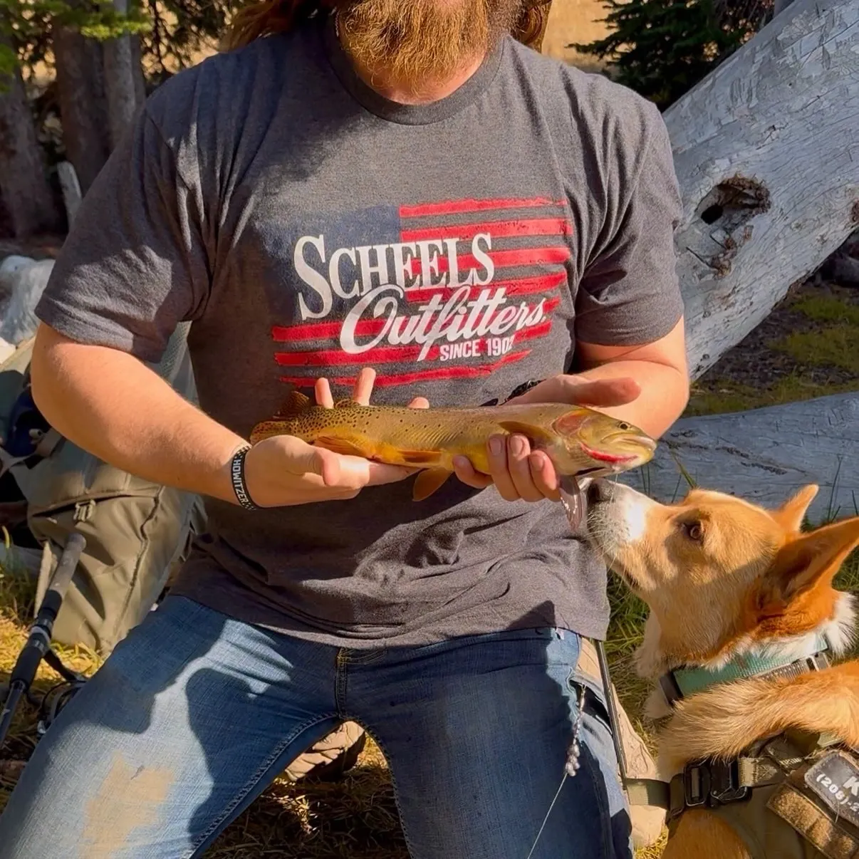 Yellowstone cutthroat trout caught on Fishbrain