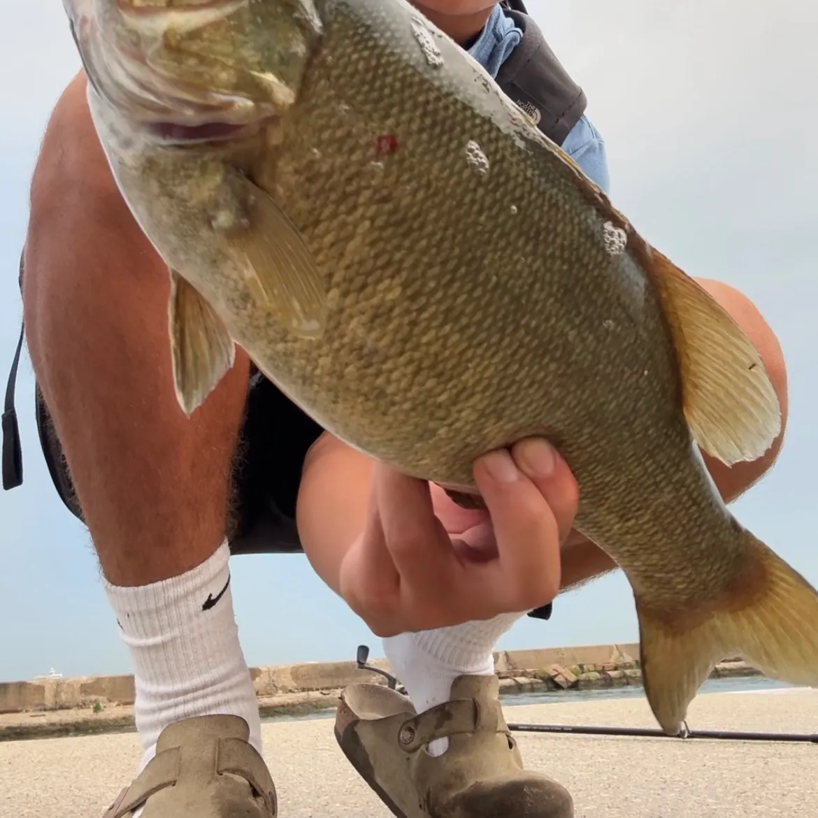 Smallmouth bass caught on Fishbrain
