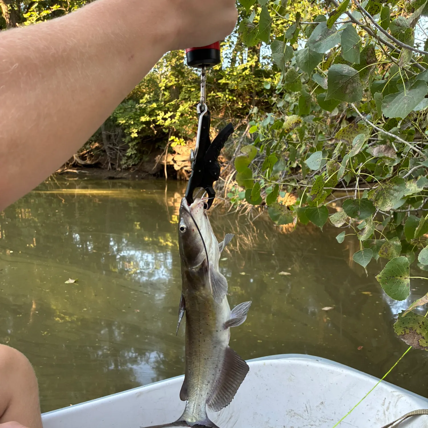 catch