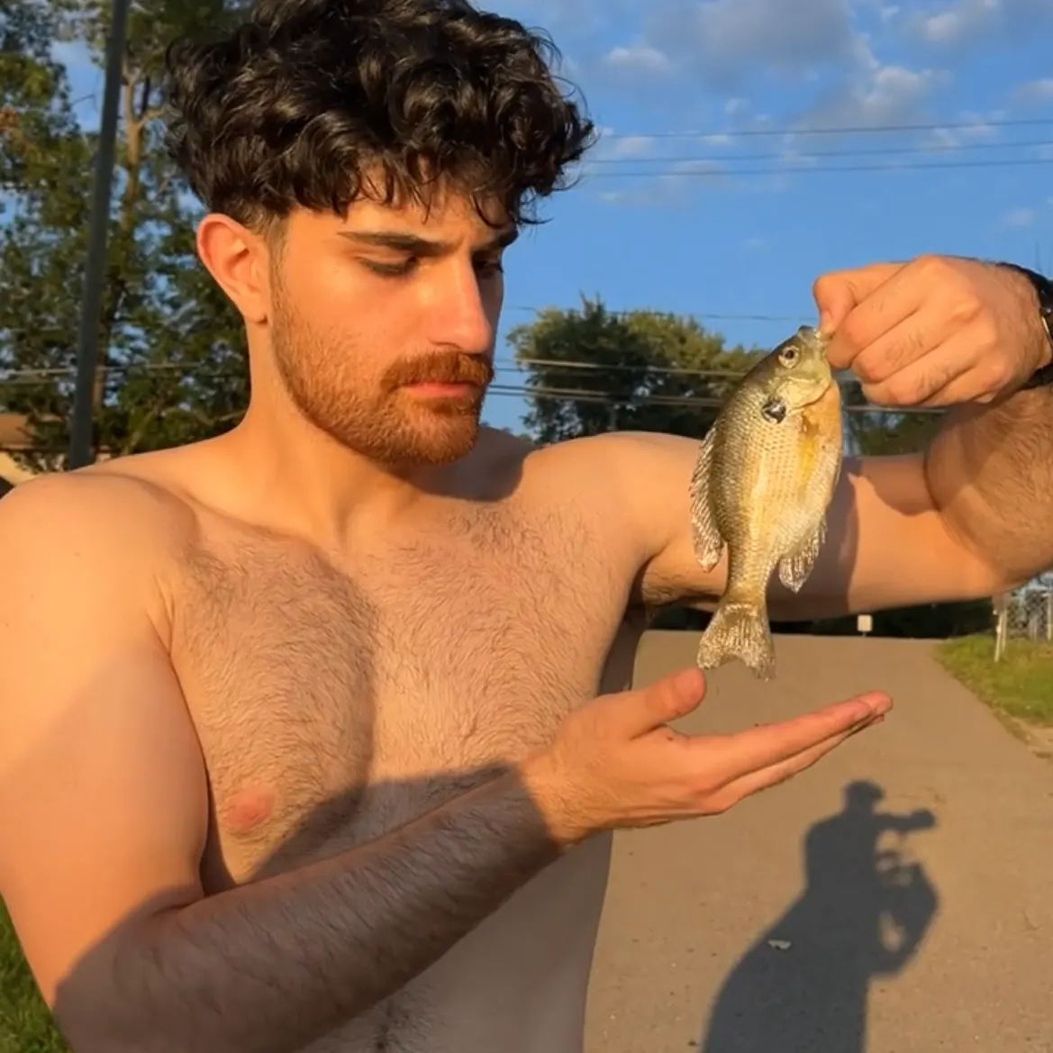 Bluegill caught on Fishbrain