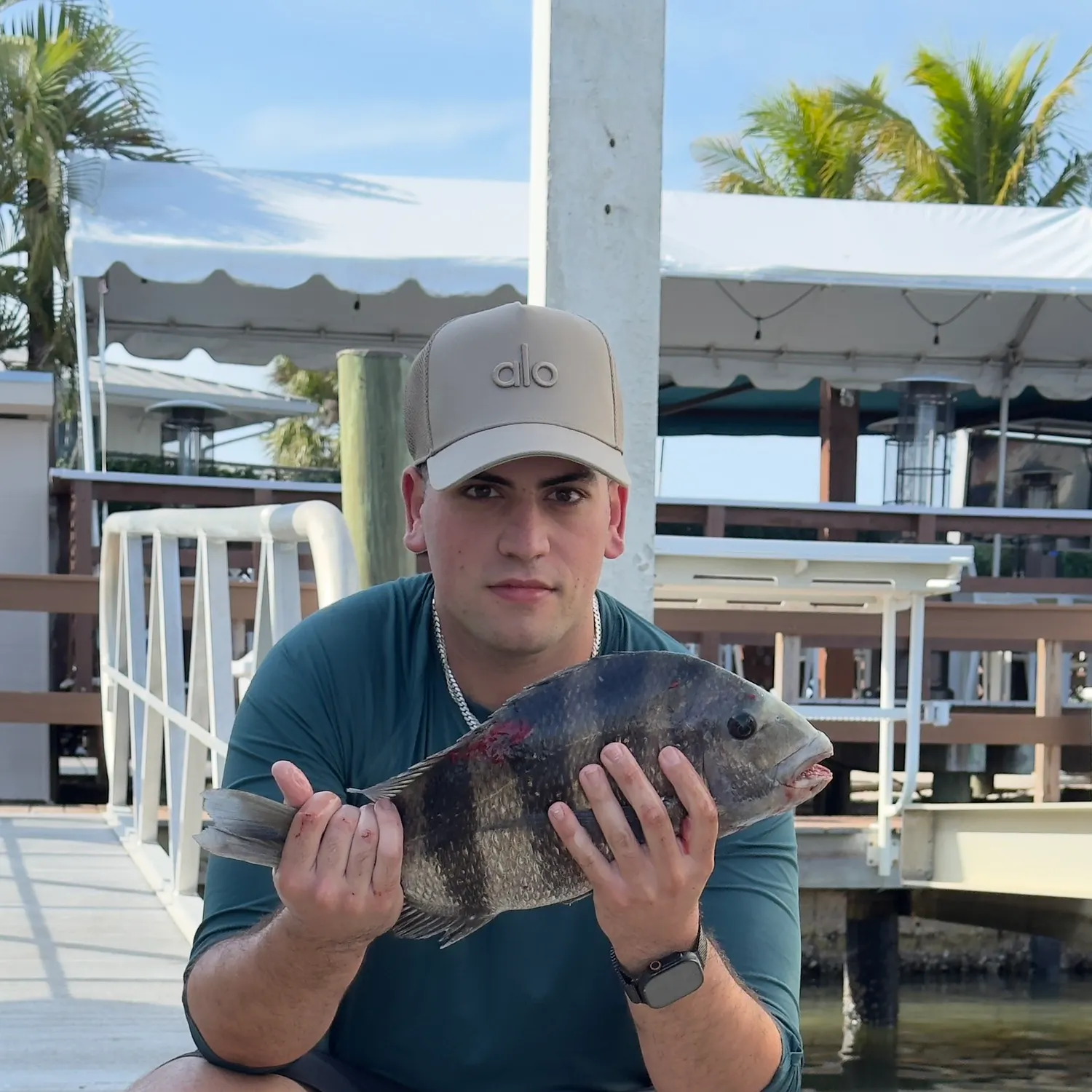 The most recent Sheepshead catches on Fishbrain