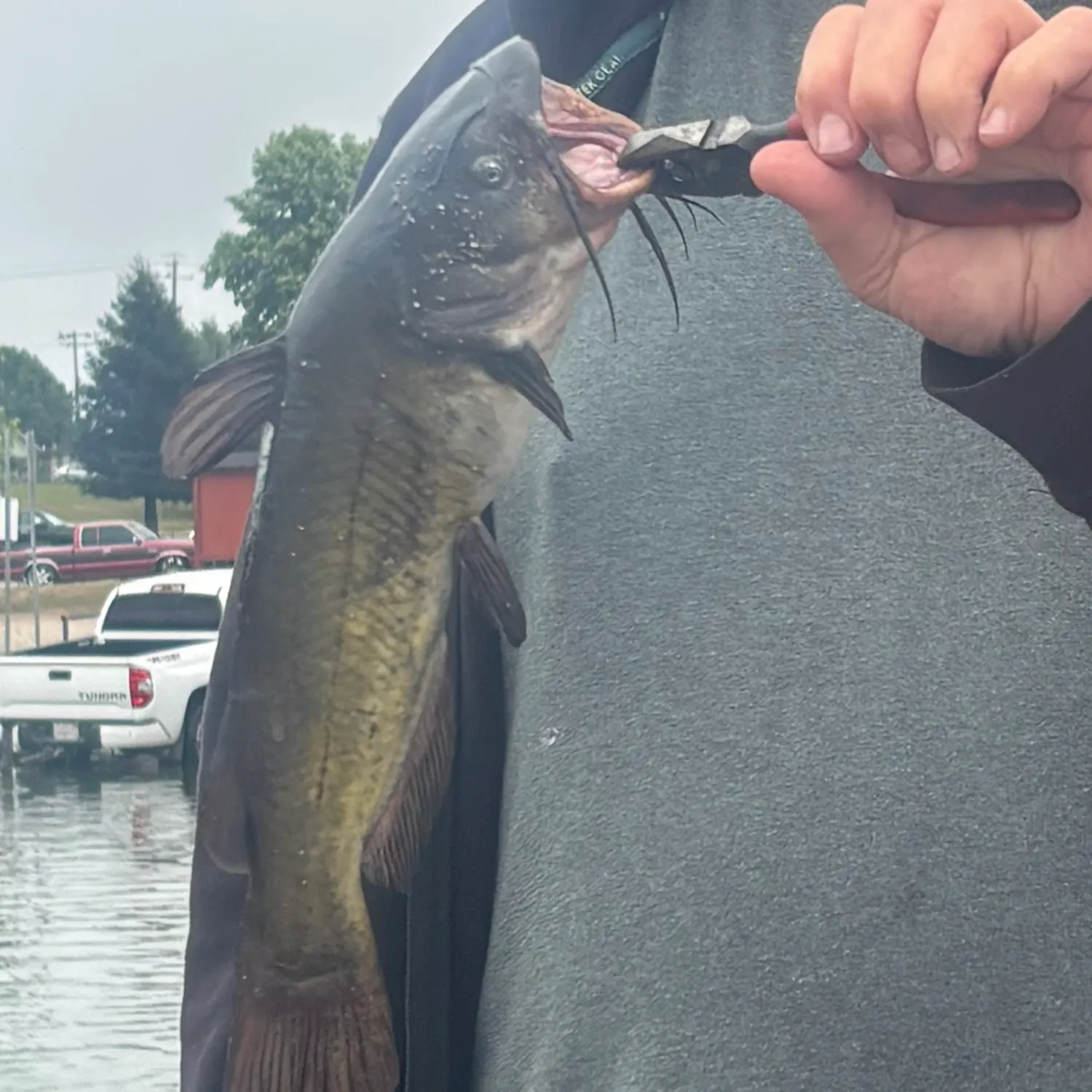 catch