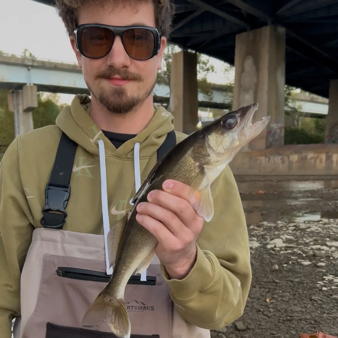 Walleye caught on Fishbrain