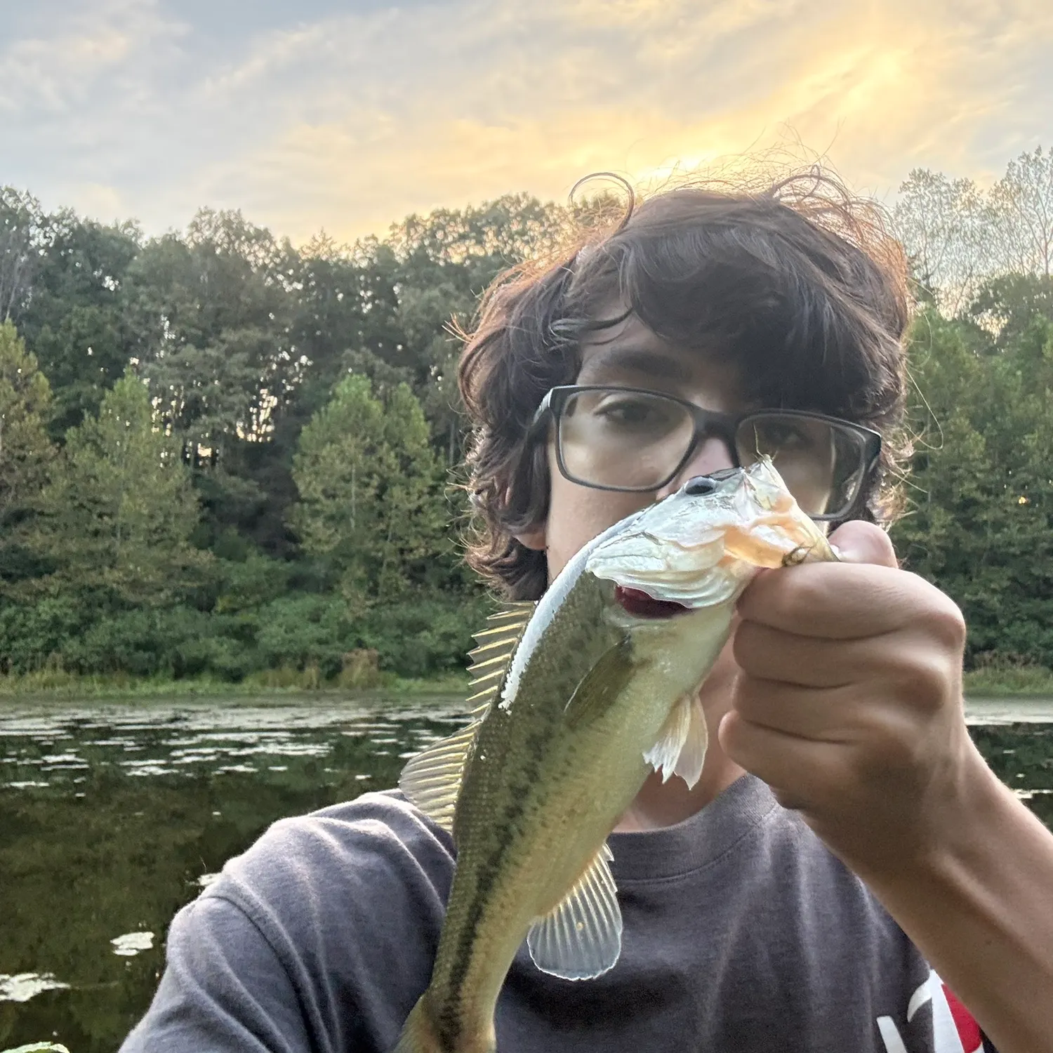 Largemouth bass caught on Fishbrain