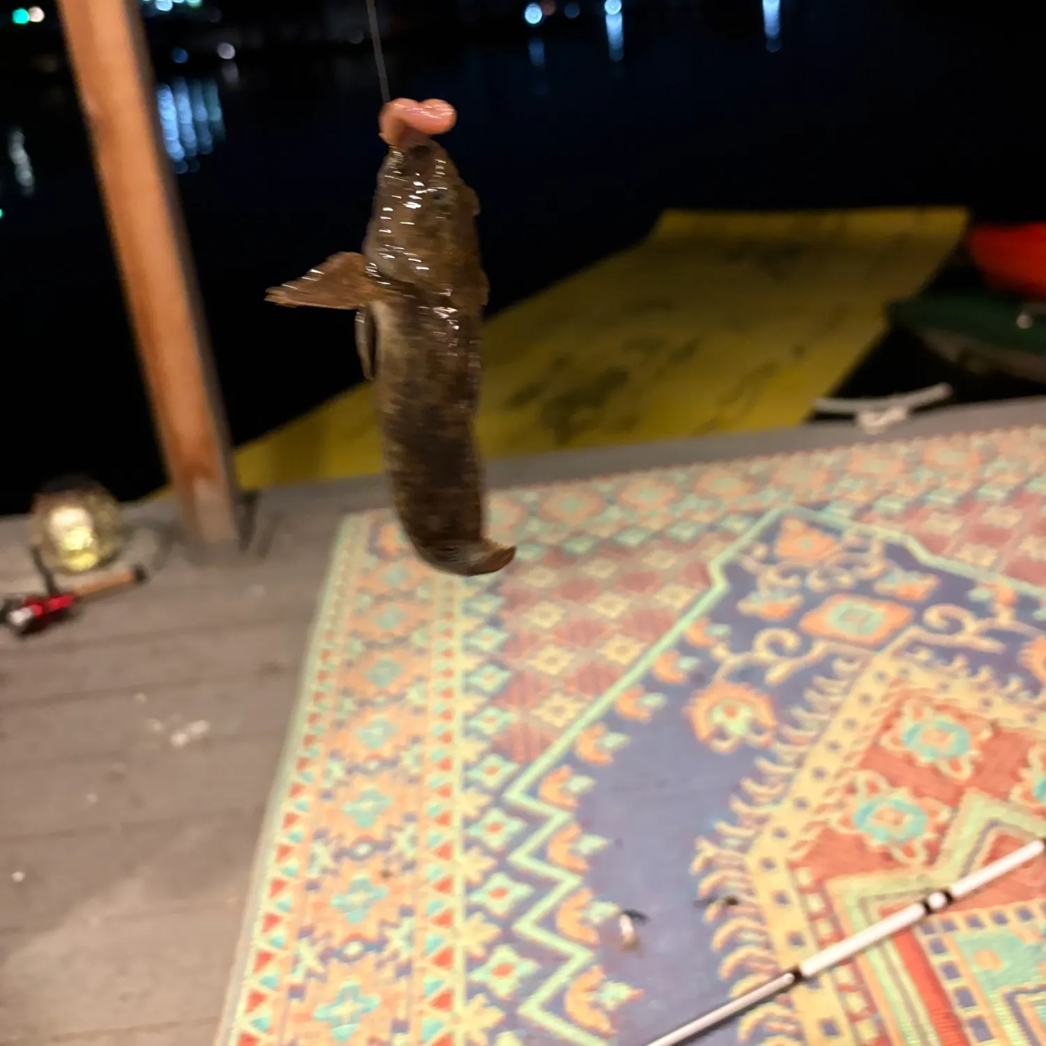 Mottled sculpin caught on Fishbrain