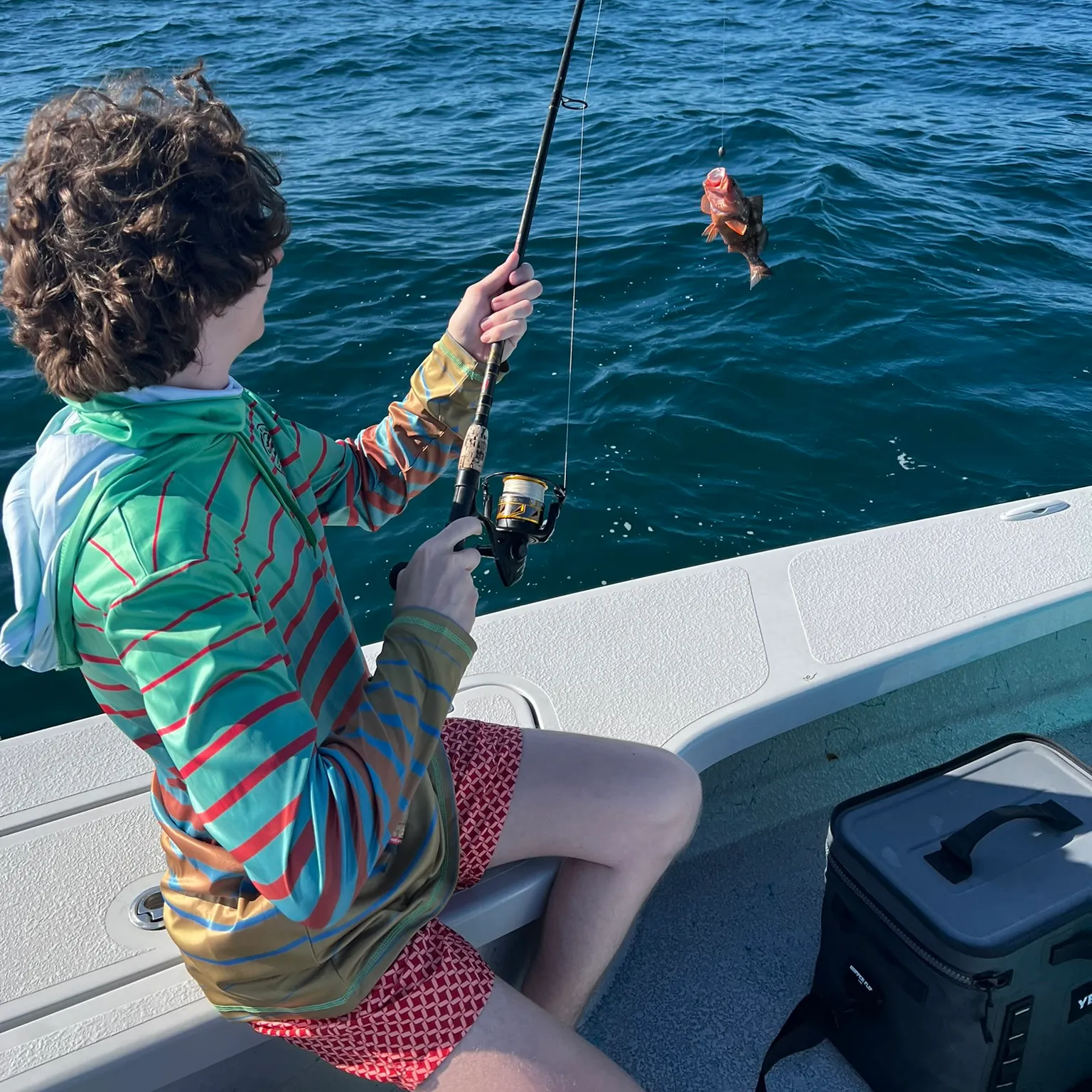 The most recent Red grouper catches on Fishbrain