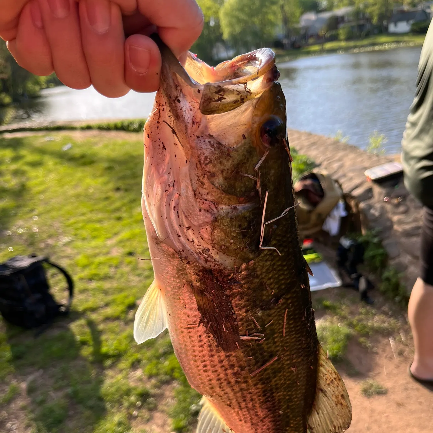 catch
