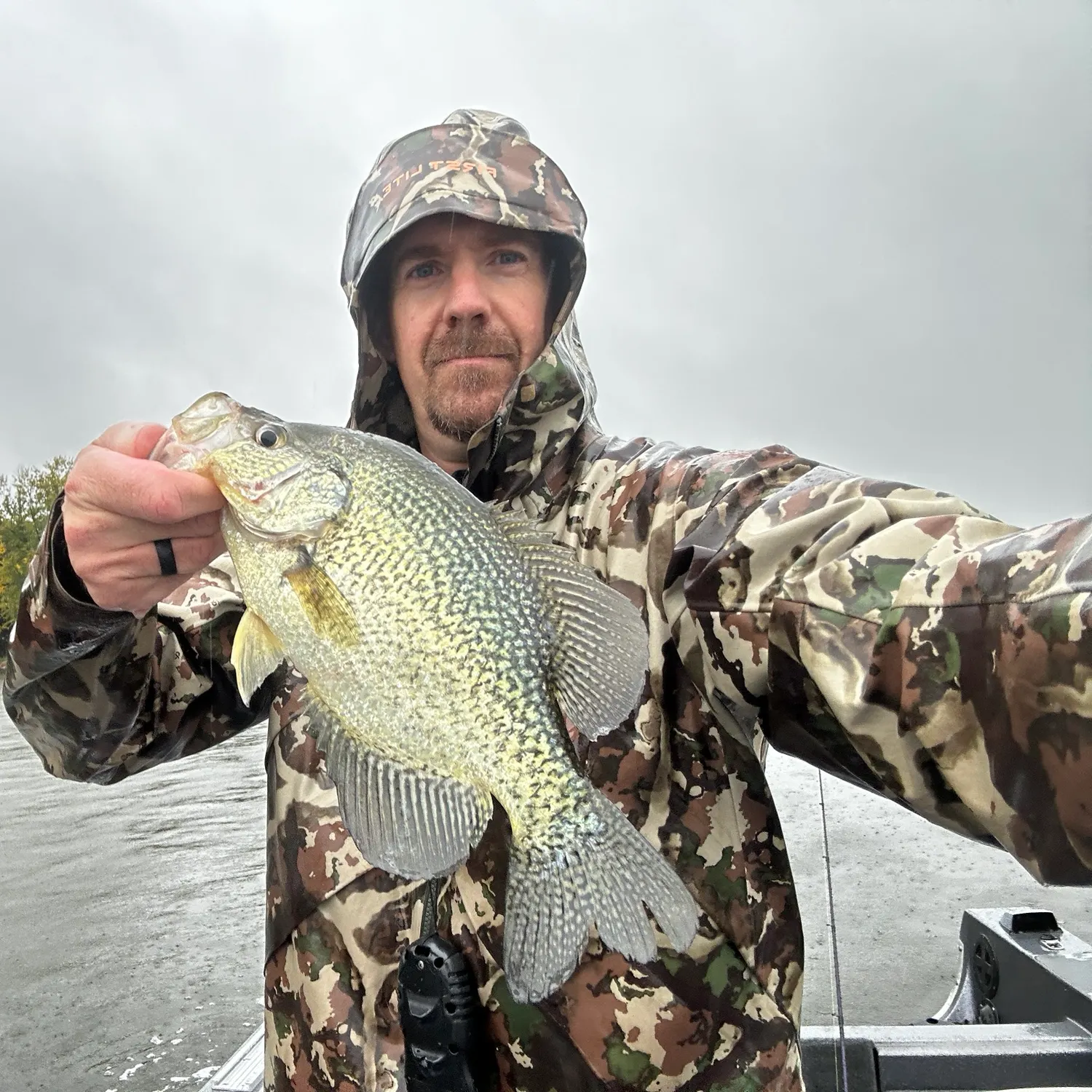 Black crappie caught on Fishbrain