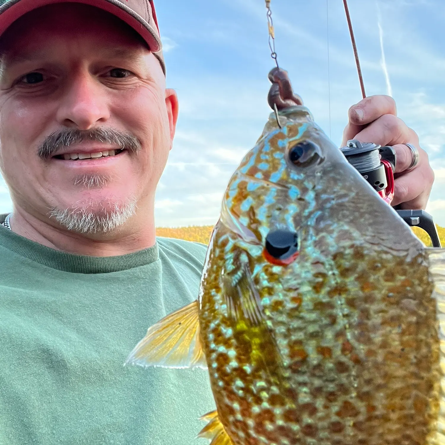 The most recent Pumpkinseed x redbreast sunfish catches on Fishbrain