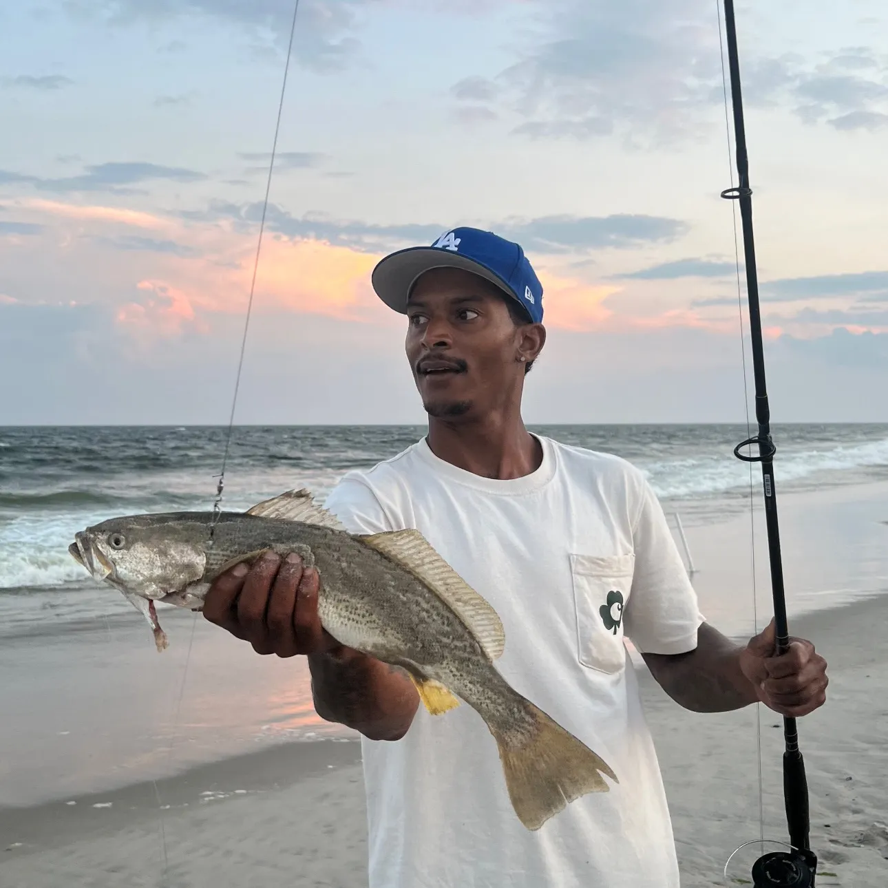 The most recent Gray weakfish catches on Fishbrain