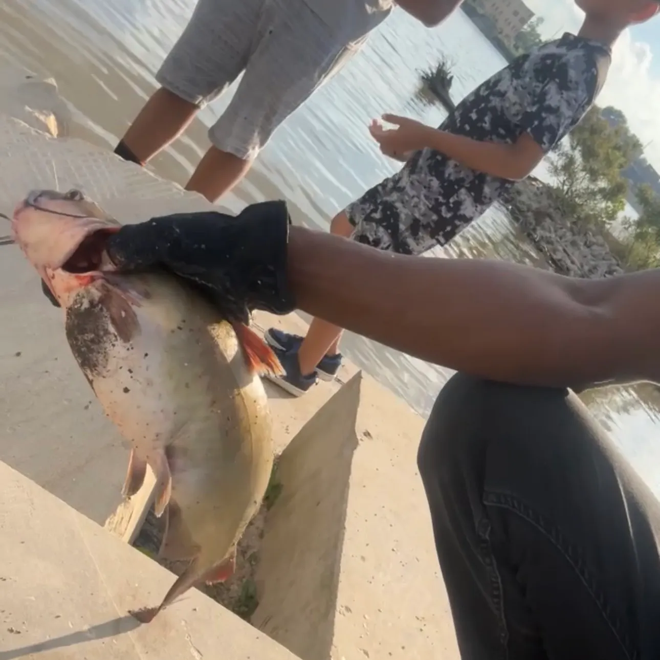catch