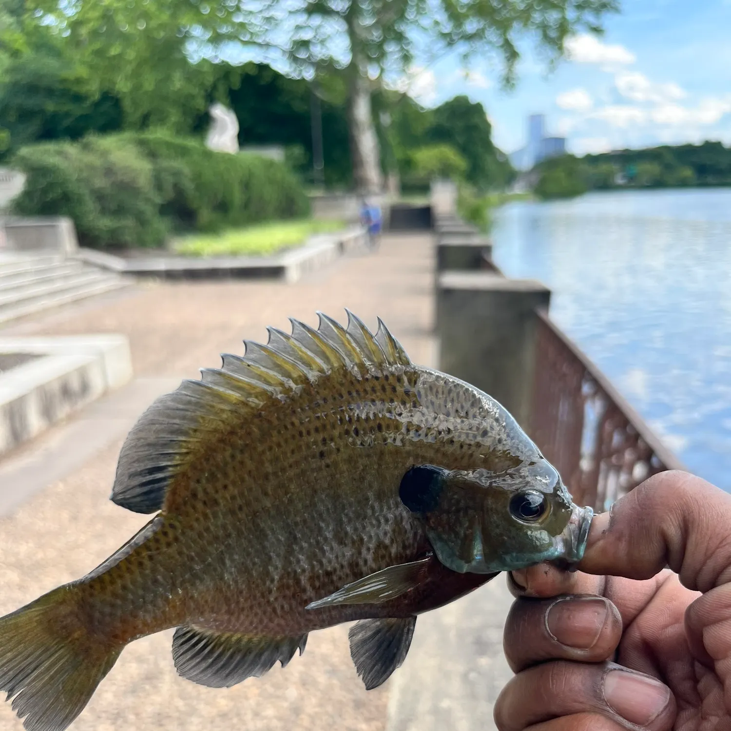 catch