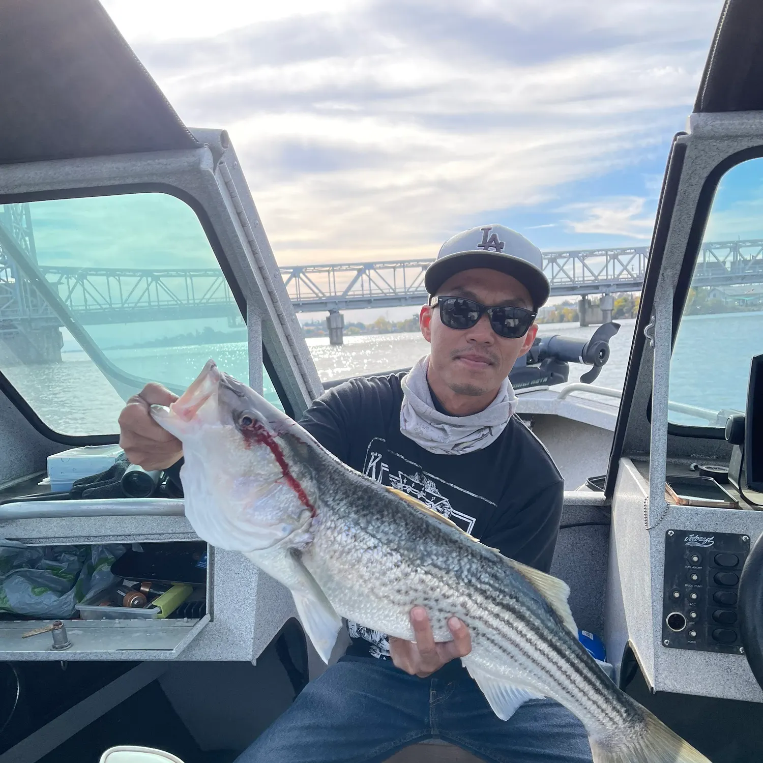 The most recent Striped bass catches on Fishbrain