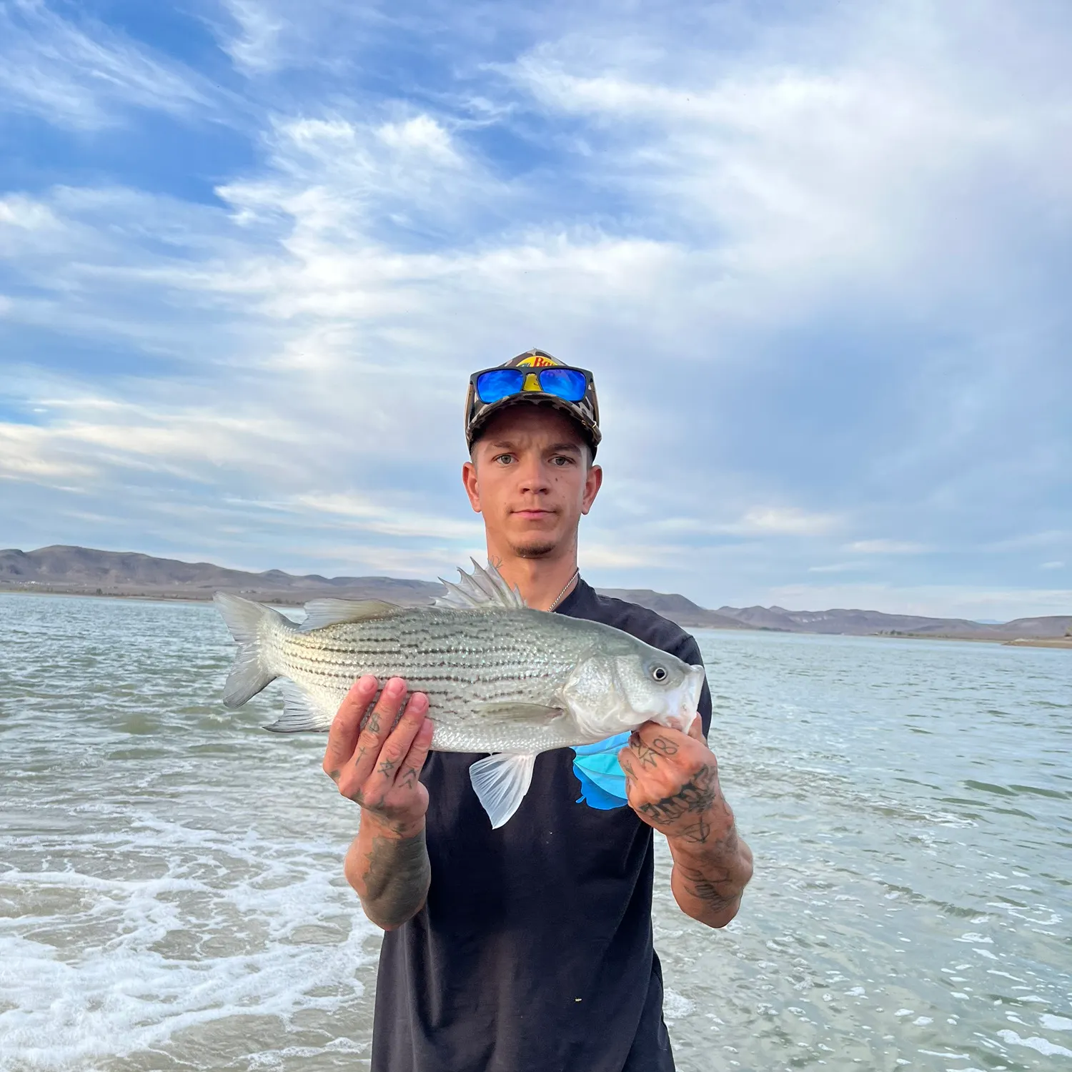 Wiper caught on Fishbrain