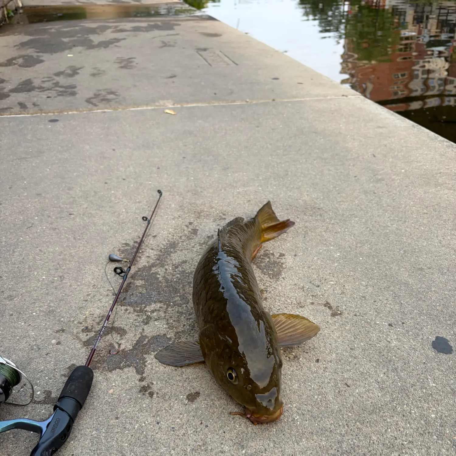 catch