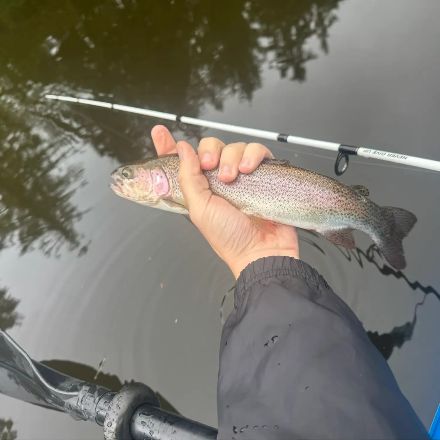 Rainbow trout caught on Fishbrain