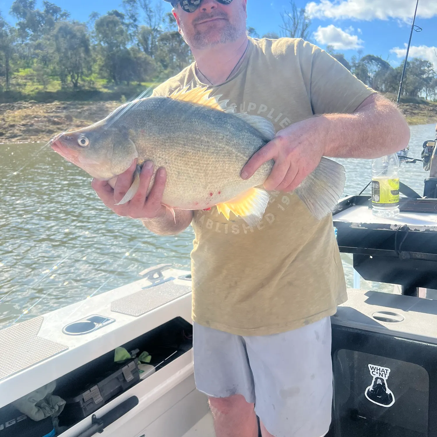 Golden perch caught on Fishbrain