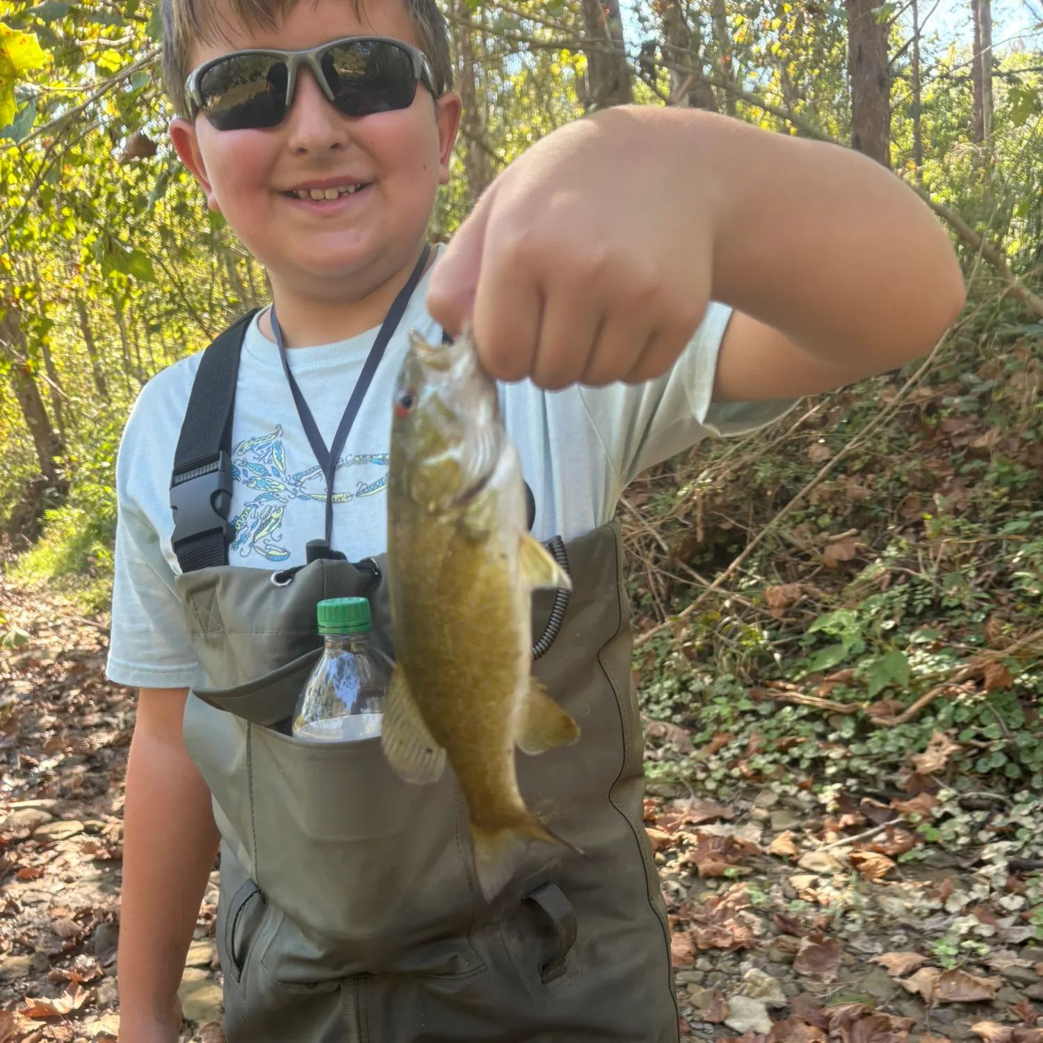 Smallmouth bass caught on Fishbrain