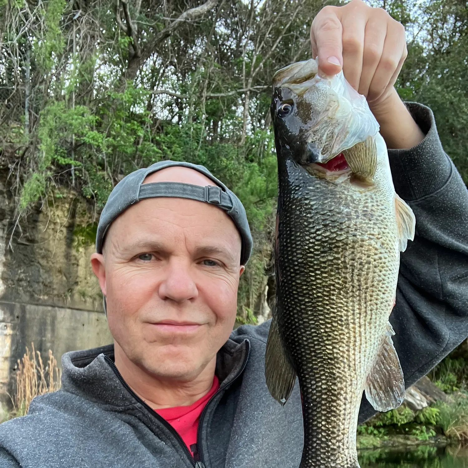 The most recent Guadalupe bass catches on Fishbrain