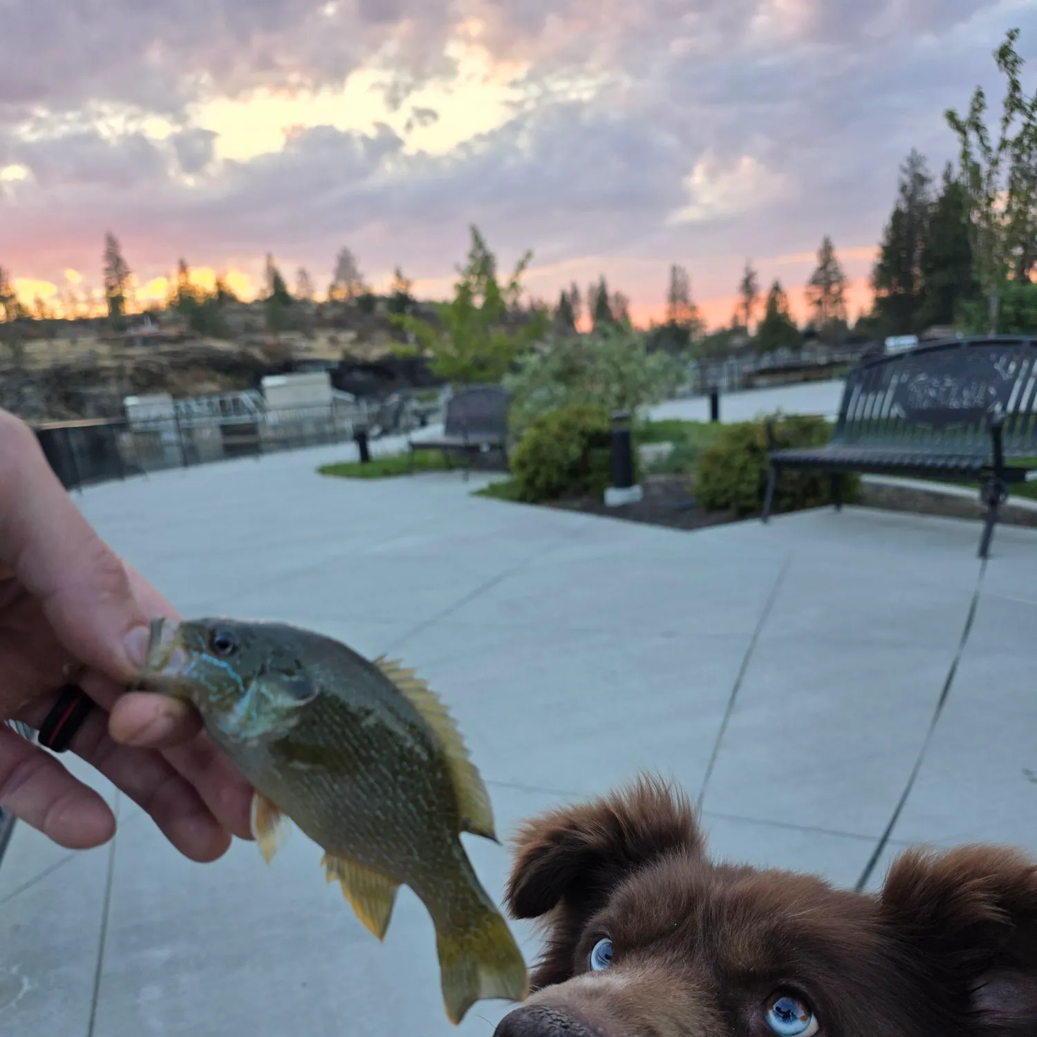 catch