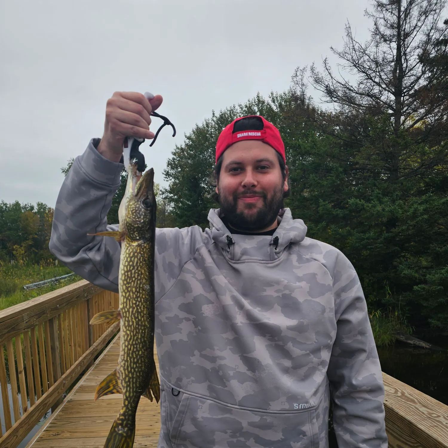 Northern pike caught on Fishbrain
