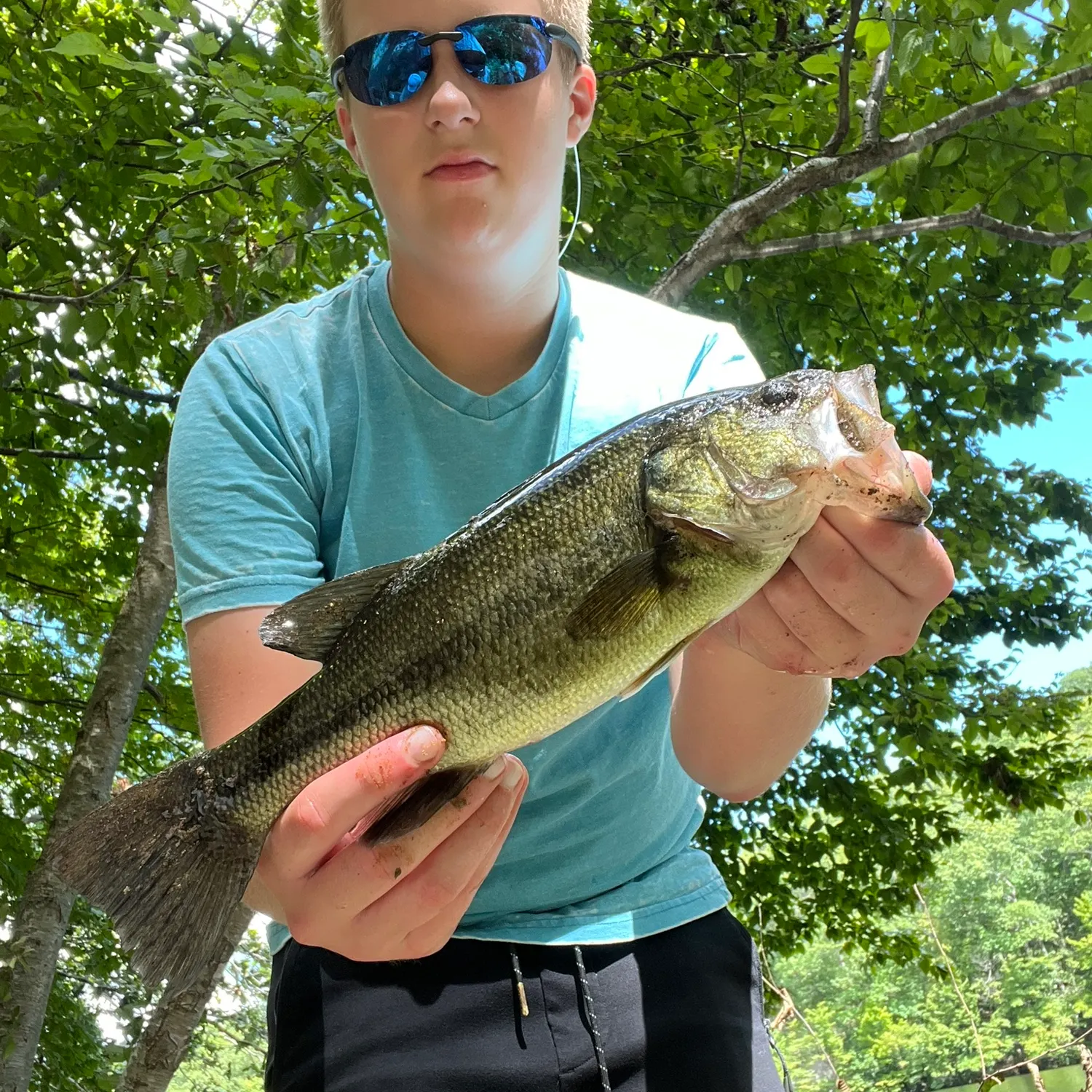 Largemouth bass caught on Fishbrain