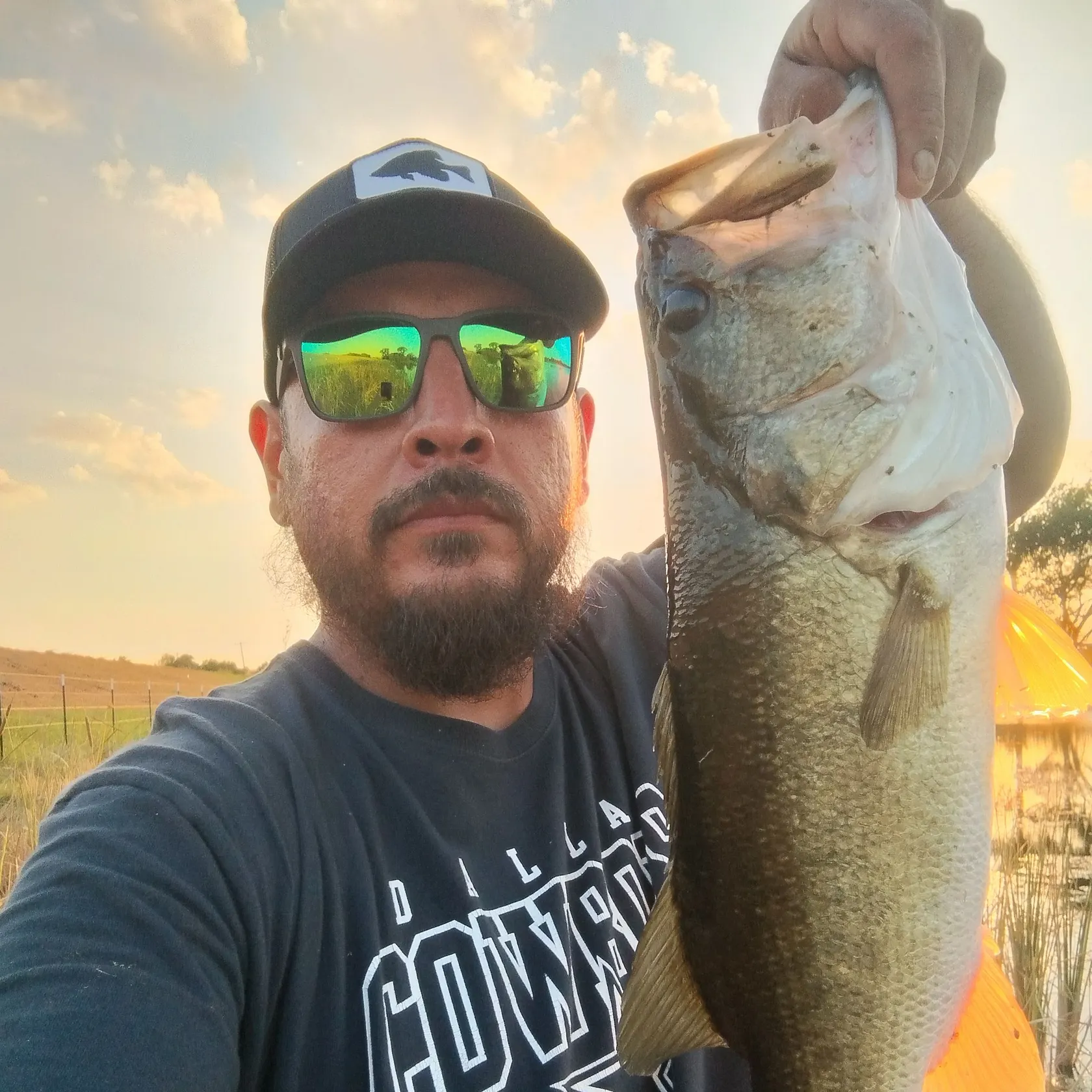 Largemouth bass caught on Fishbrain