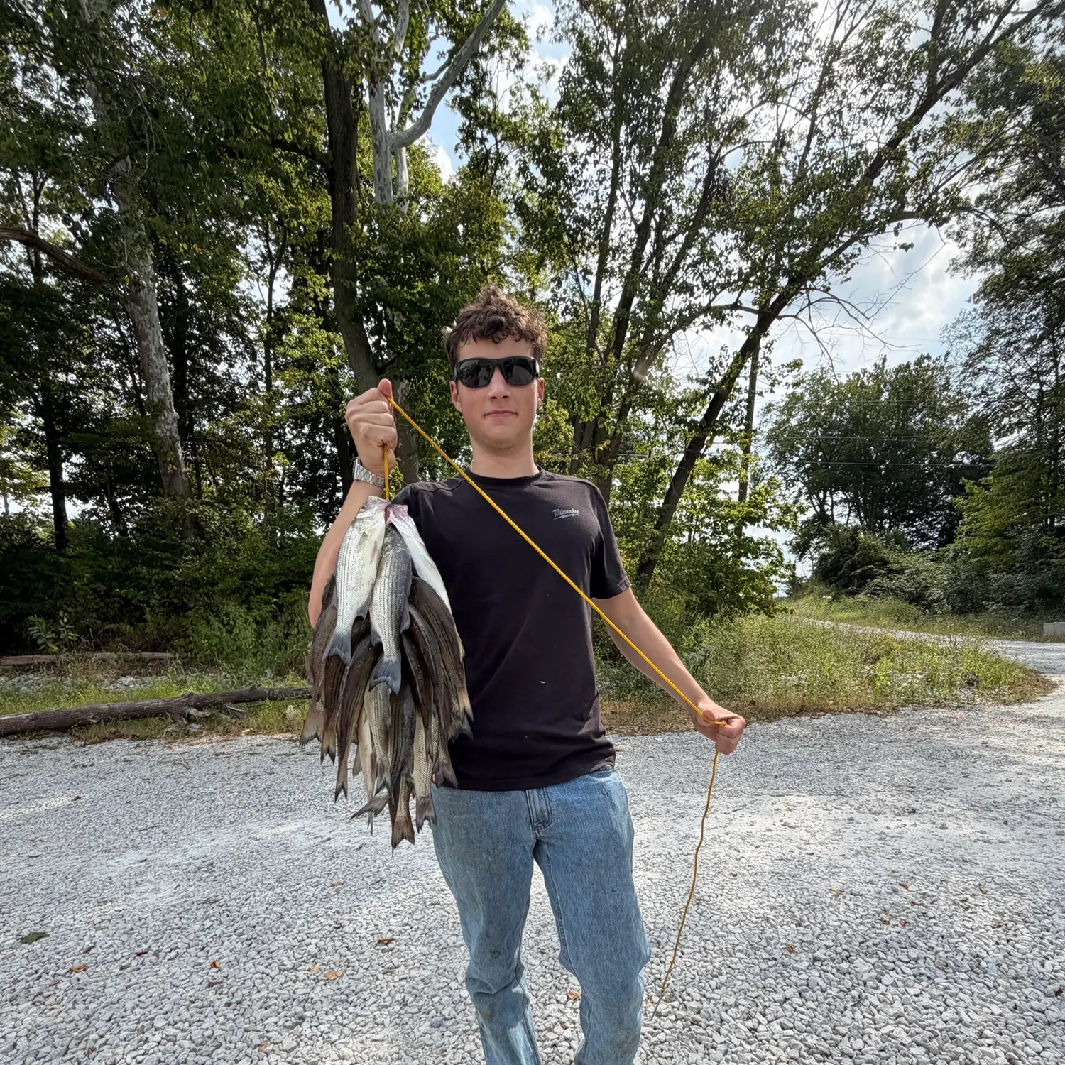 Fish caught on Fishbrain