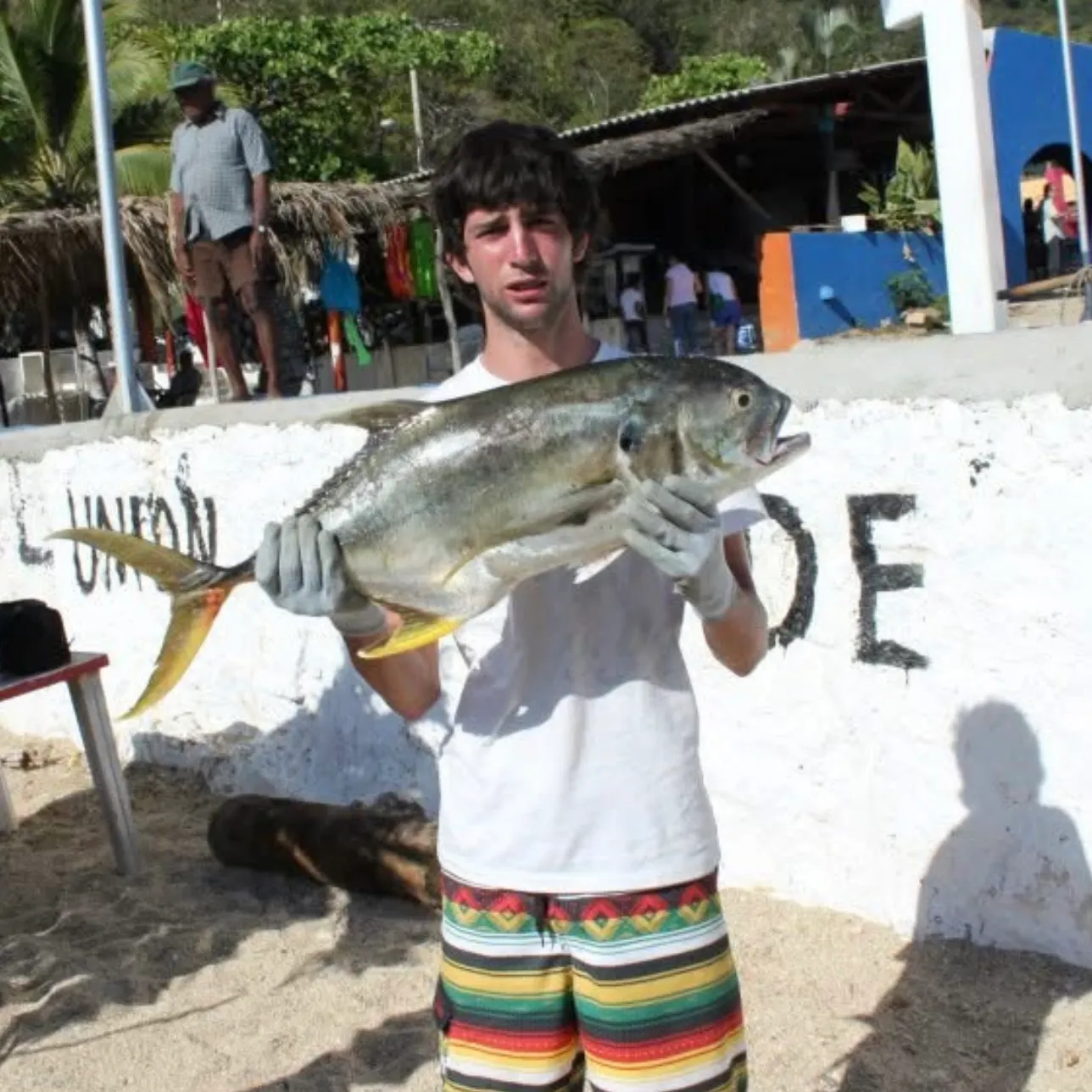 The most recent Pacific crevalle jack catches on Fishbrain