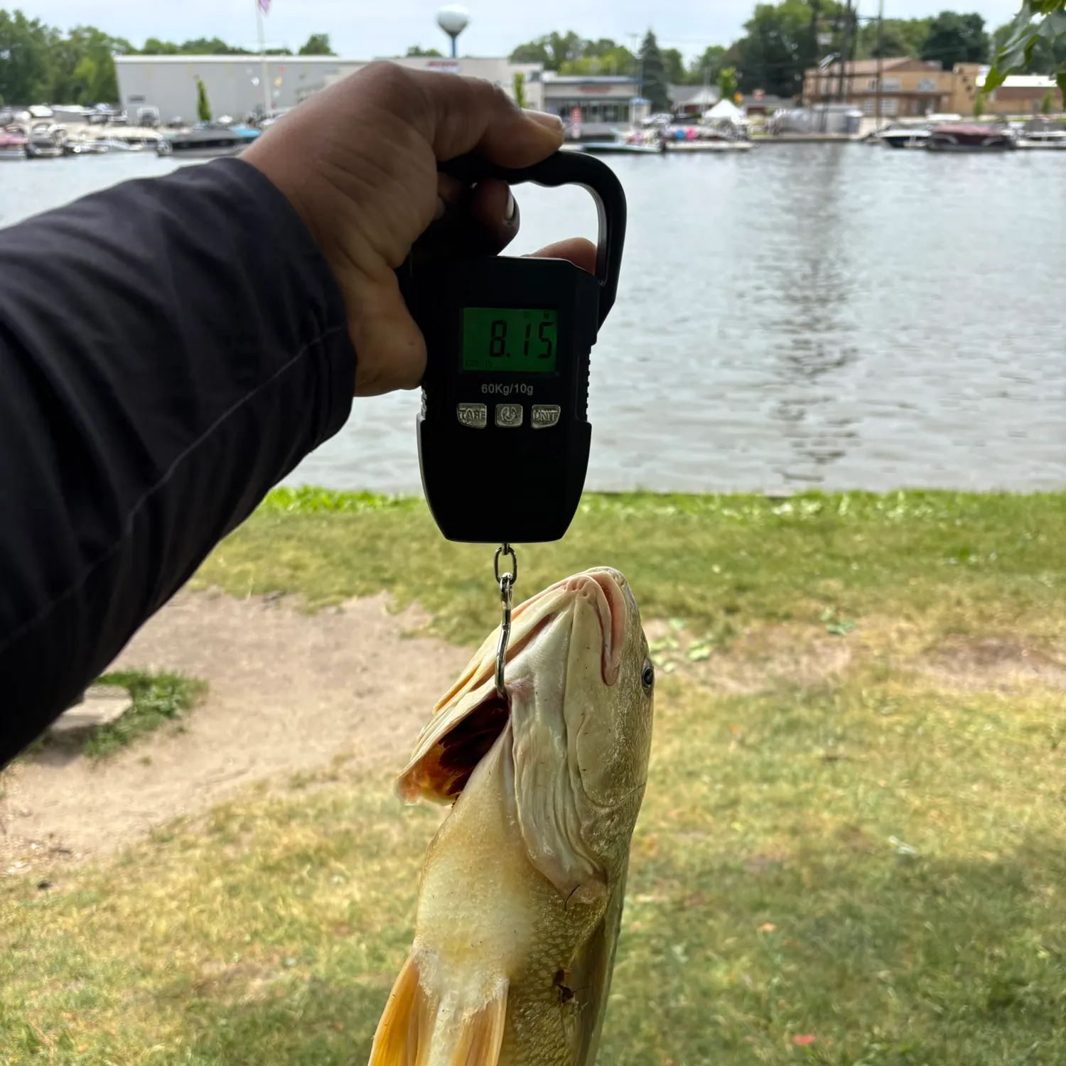catch