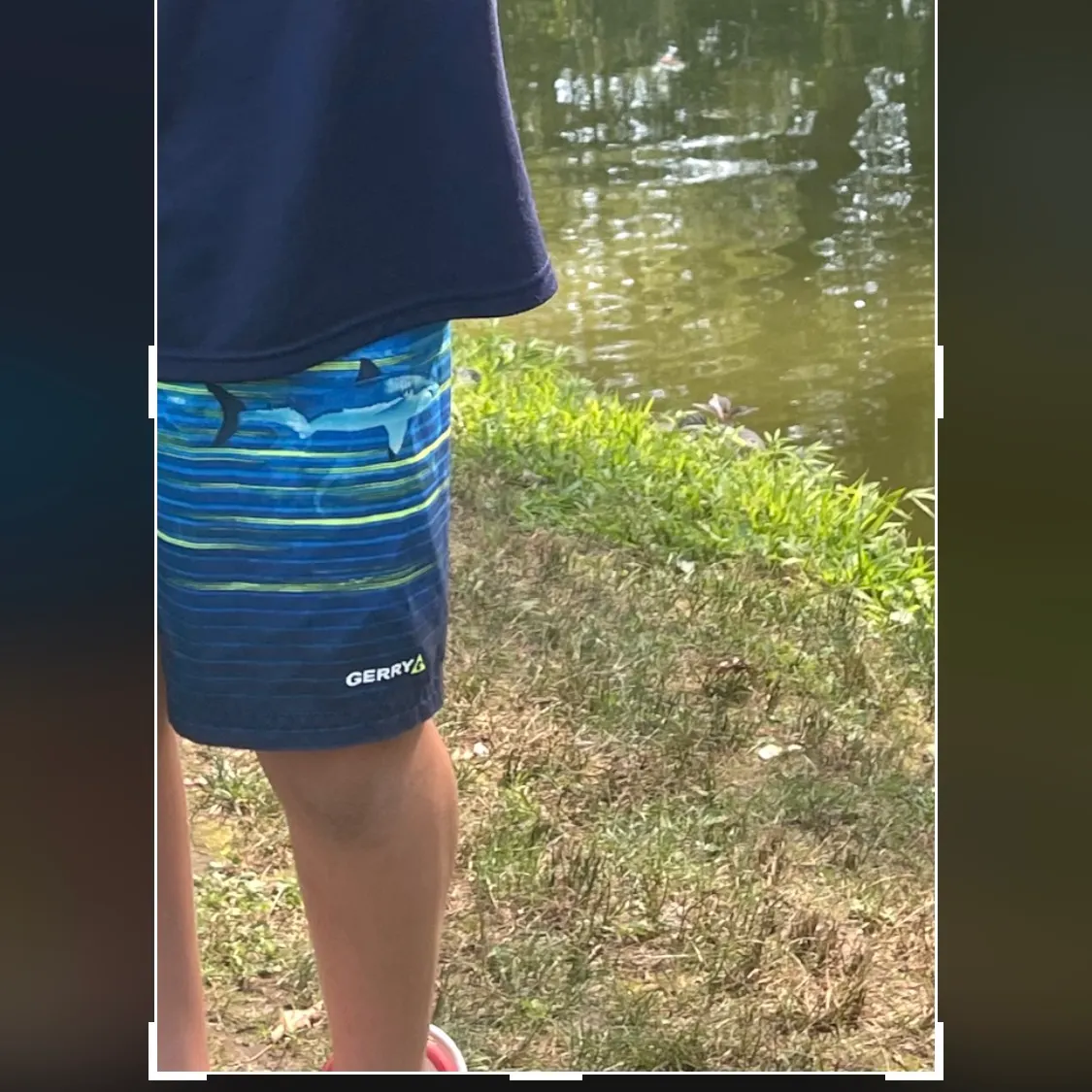 The most recent North African catfish catches on Fishbrain