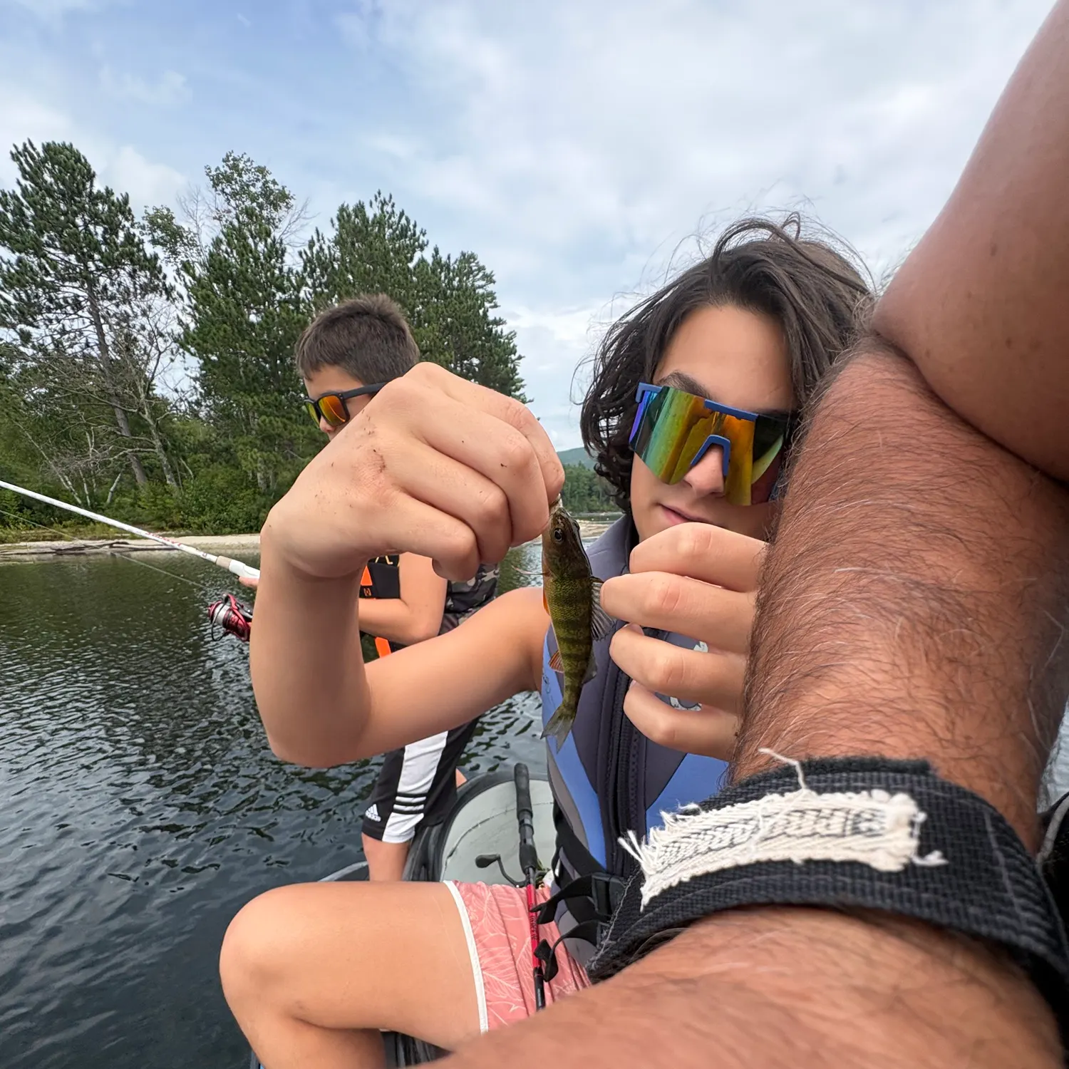 Yellow perch caught on Fishbrain
