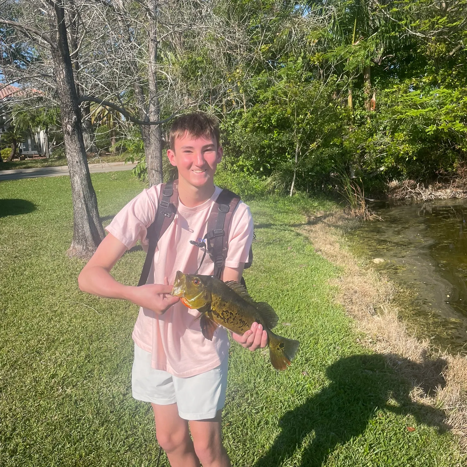 most liked catch image